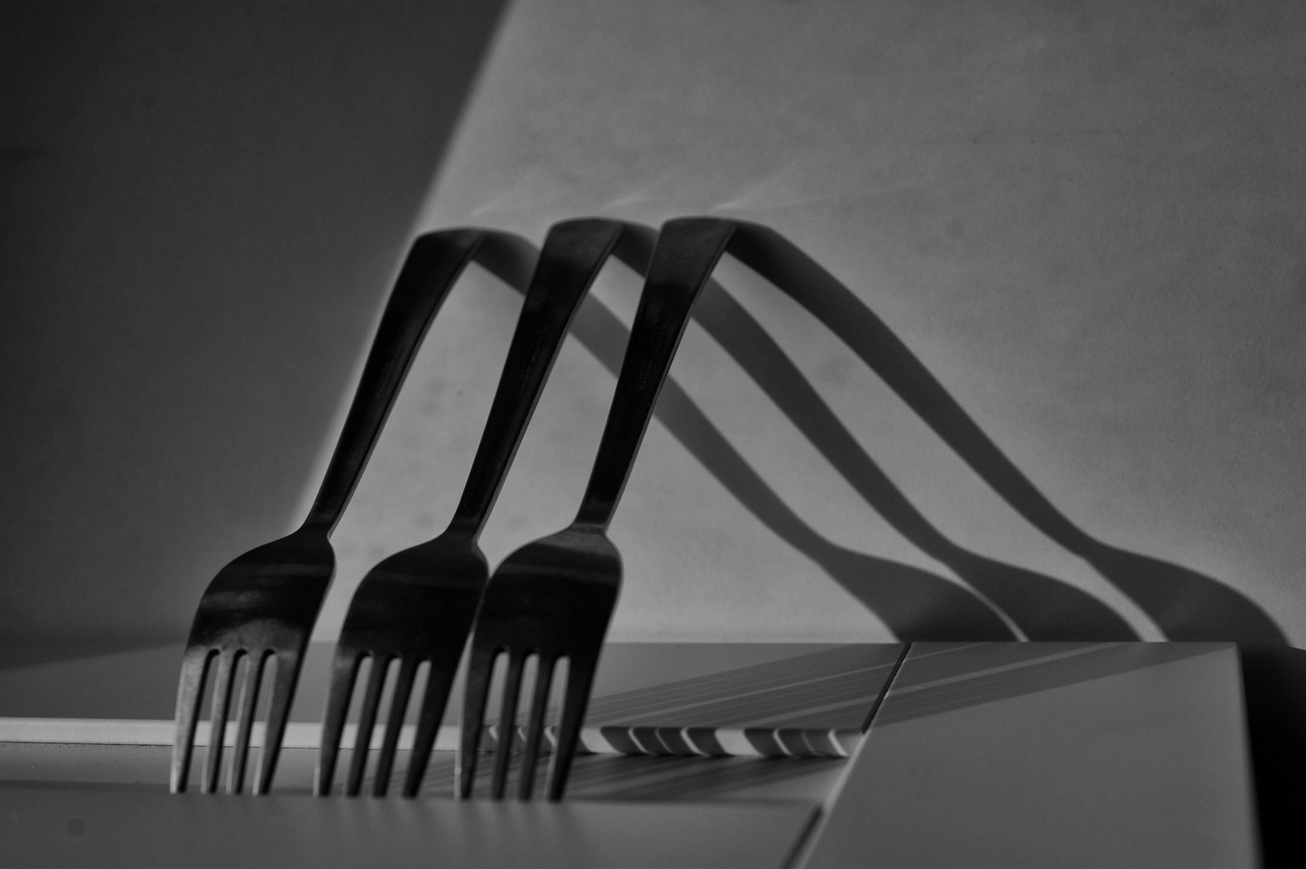 Фотограф Милена Яновска