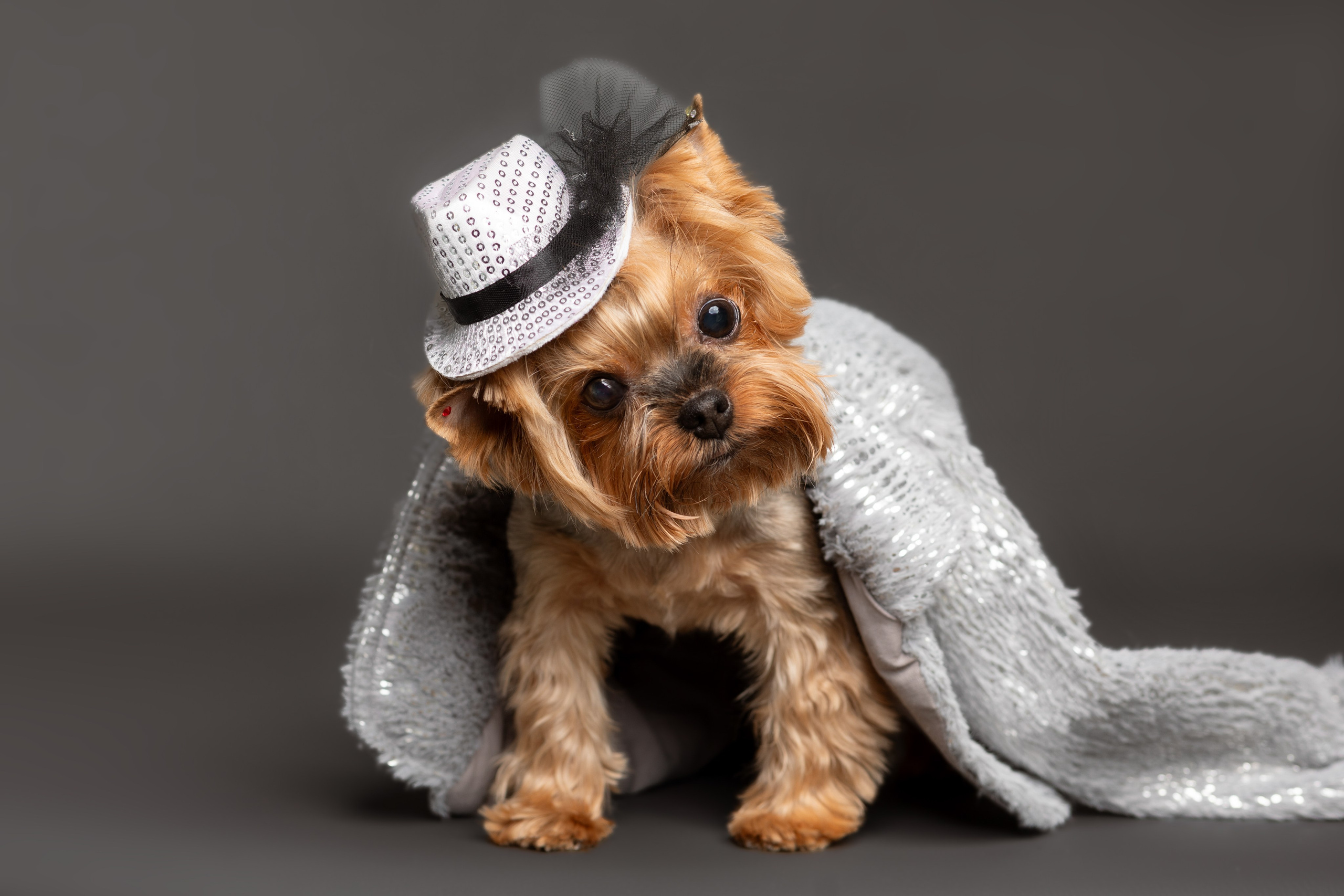 ФОТОСТУДИЯ