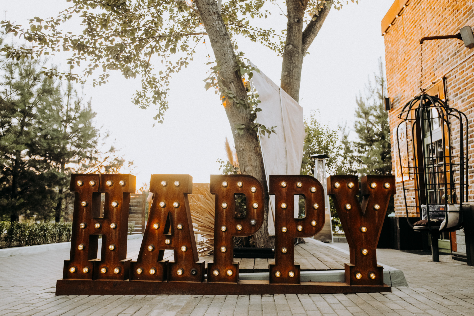 Дмитрий и Анастасия. Организация и координация свадебных и семейных торжеств