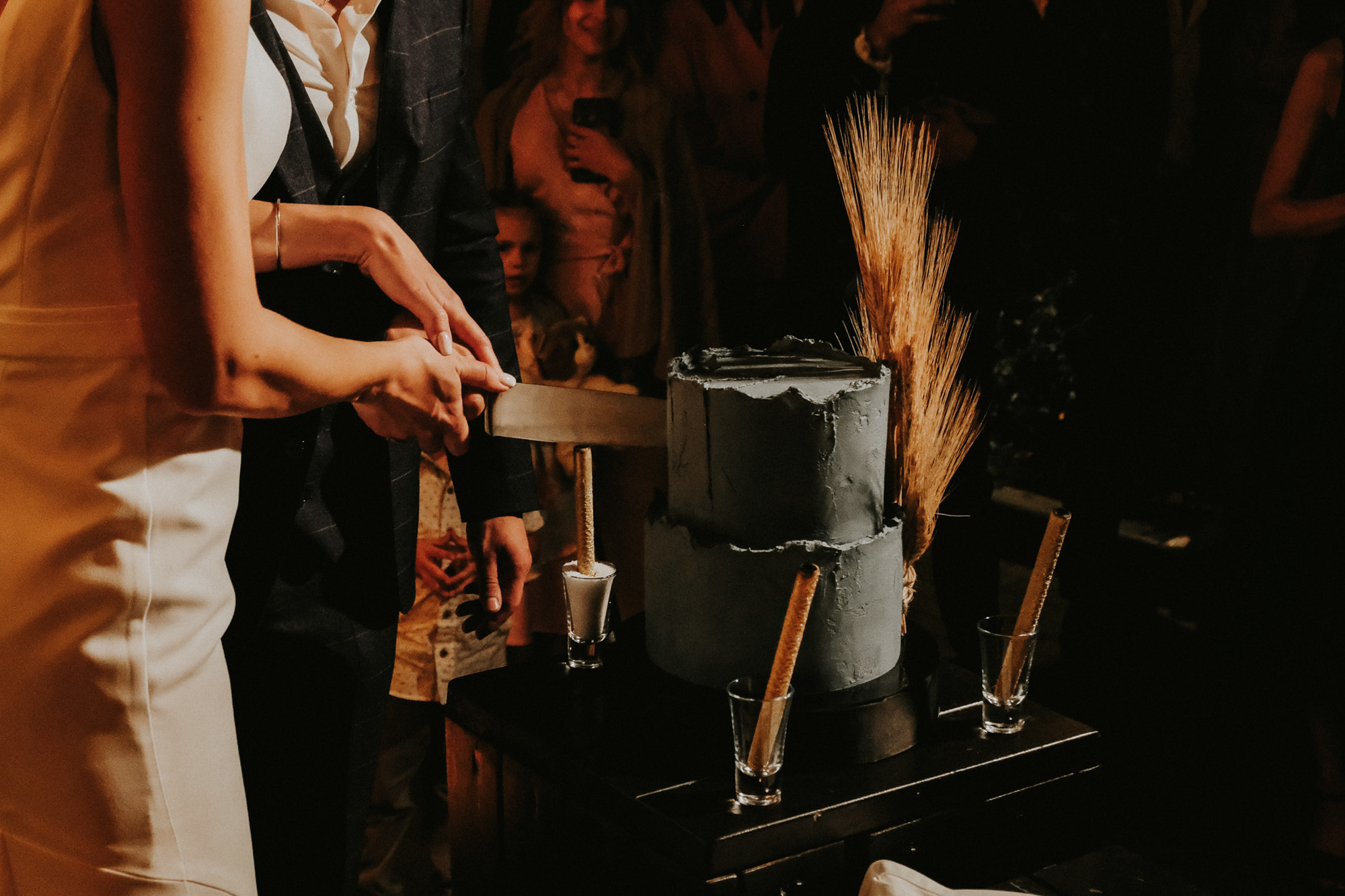 Дмитрий и Анастасия. Организация и координация свадебных и семейных торжеств