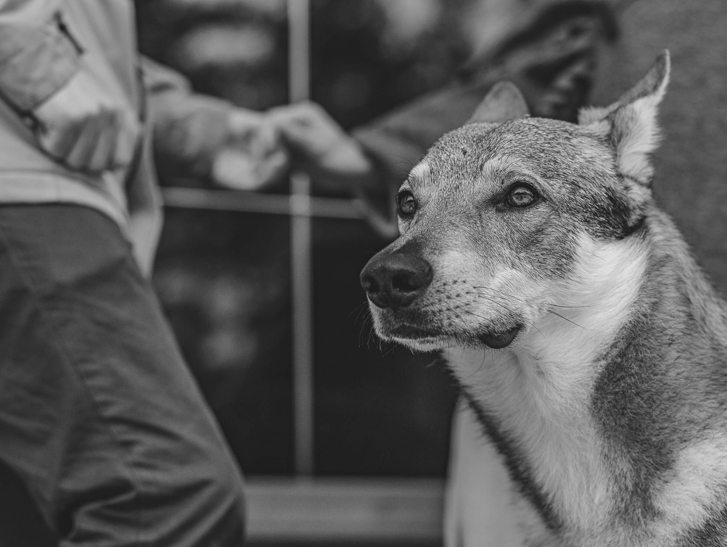 Артур и Алёна. Свадебный фотограф Мостовой Аркадий, Краснодар, Сочи