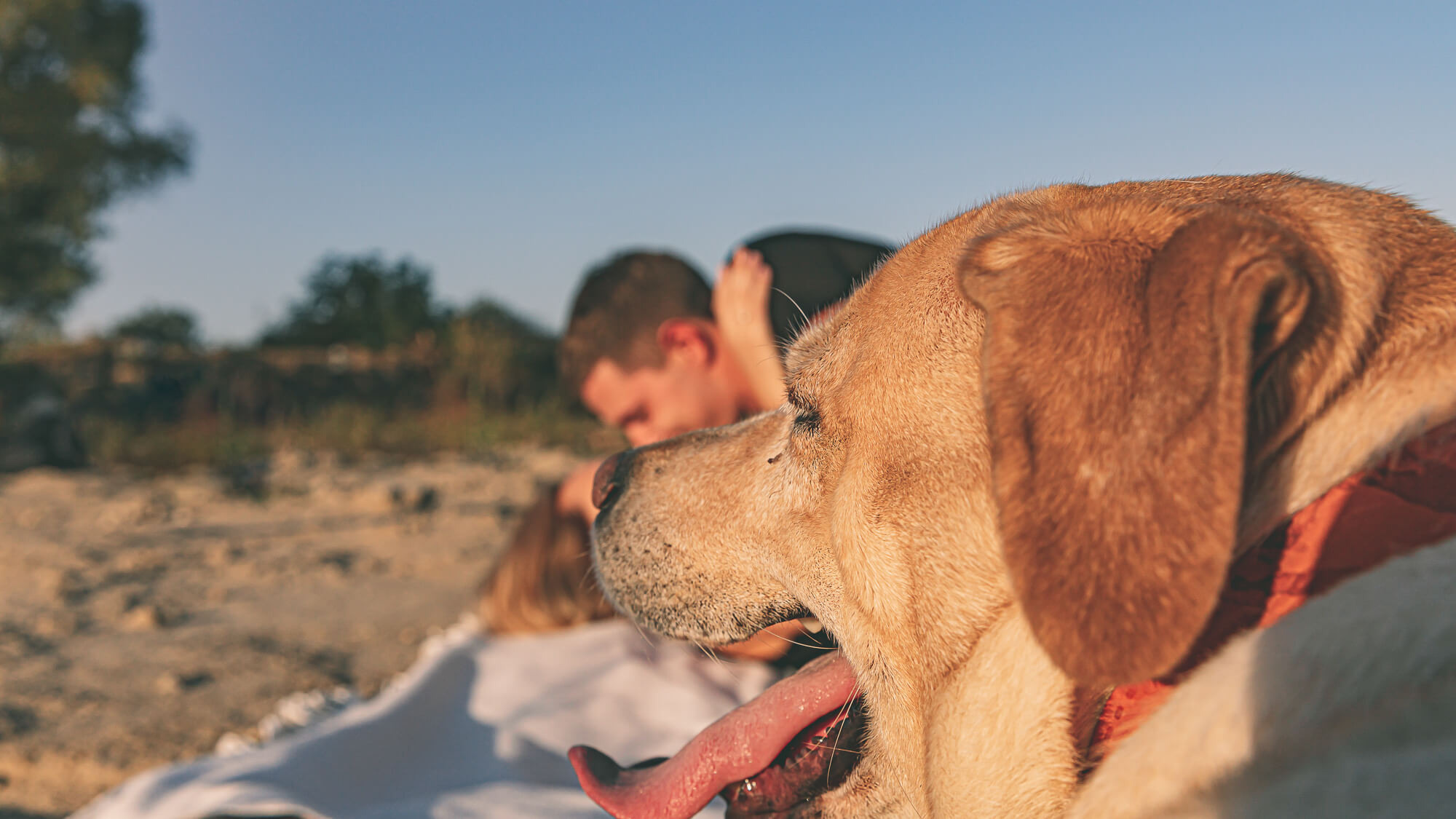 Артем и Анна. Свадебный фотограф Мостовой Аркадий, Краснодар, Сочи