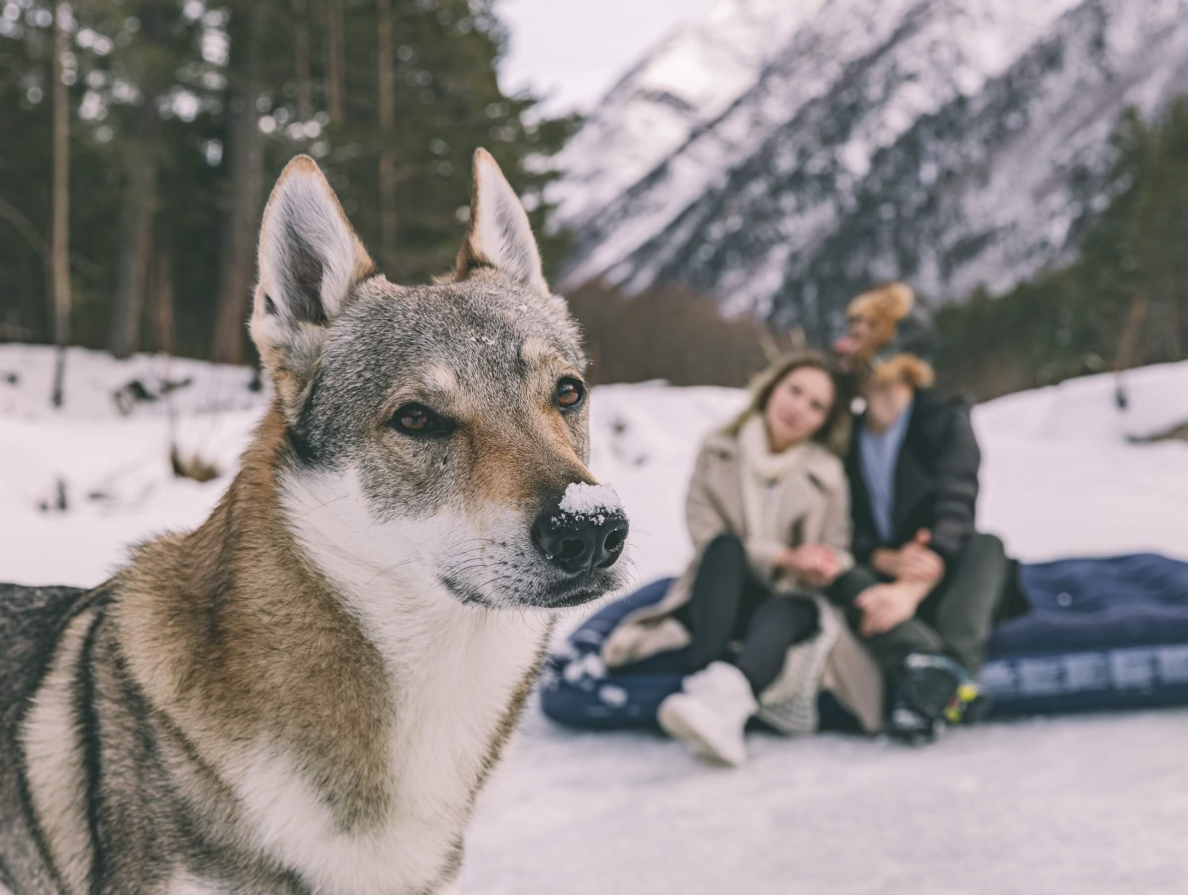 Артур и Алёна. Свадебный фотограф Мостовой Аркадий, Краснодар, Сочи