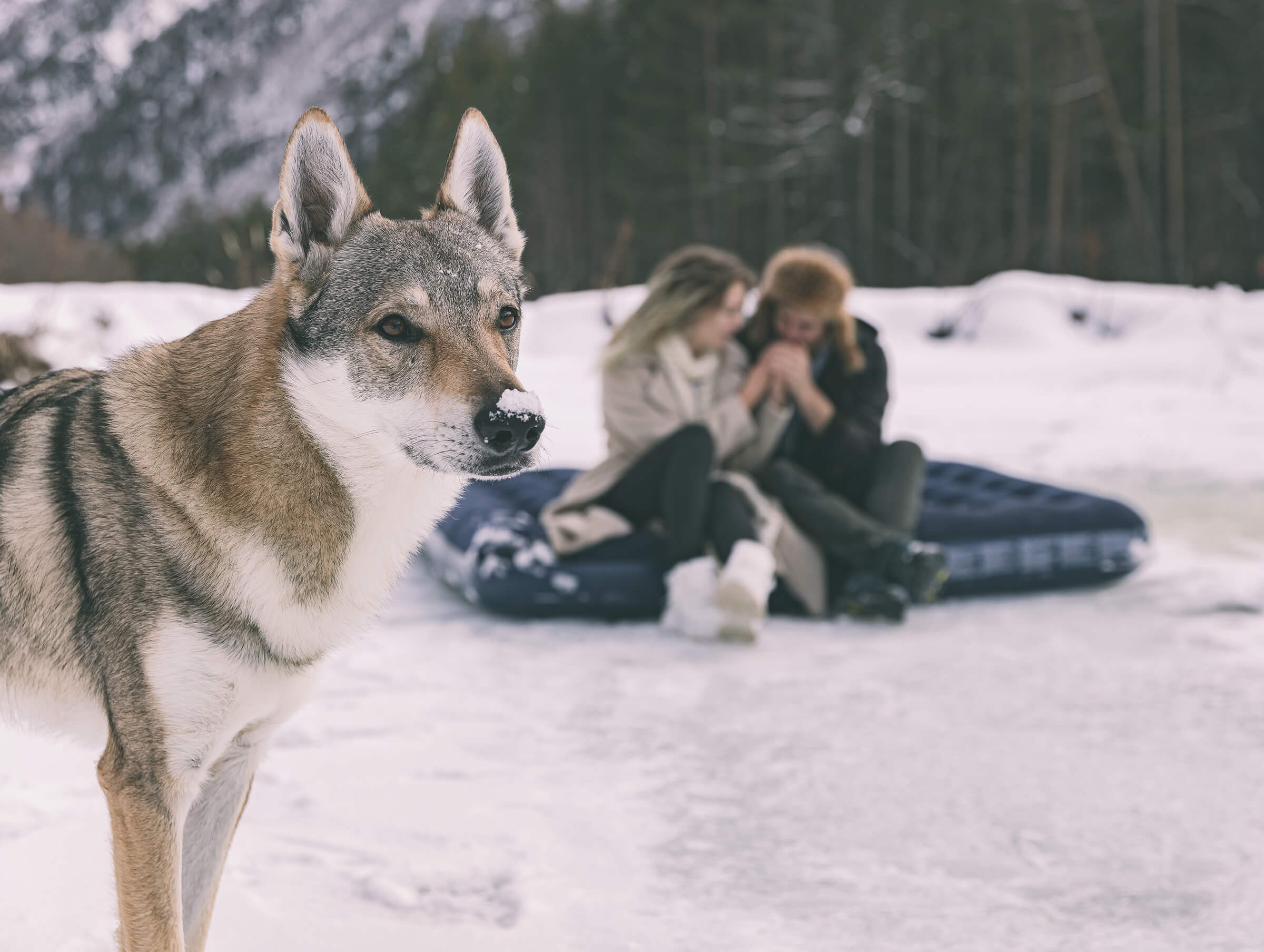 Артур и Алёна. Свадебный фотограф Мостовой Аркадий, Краснодар, Сочи