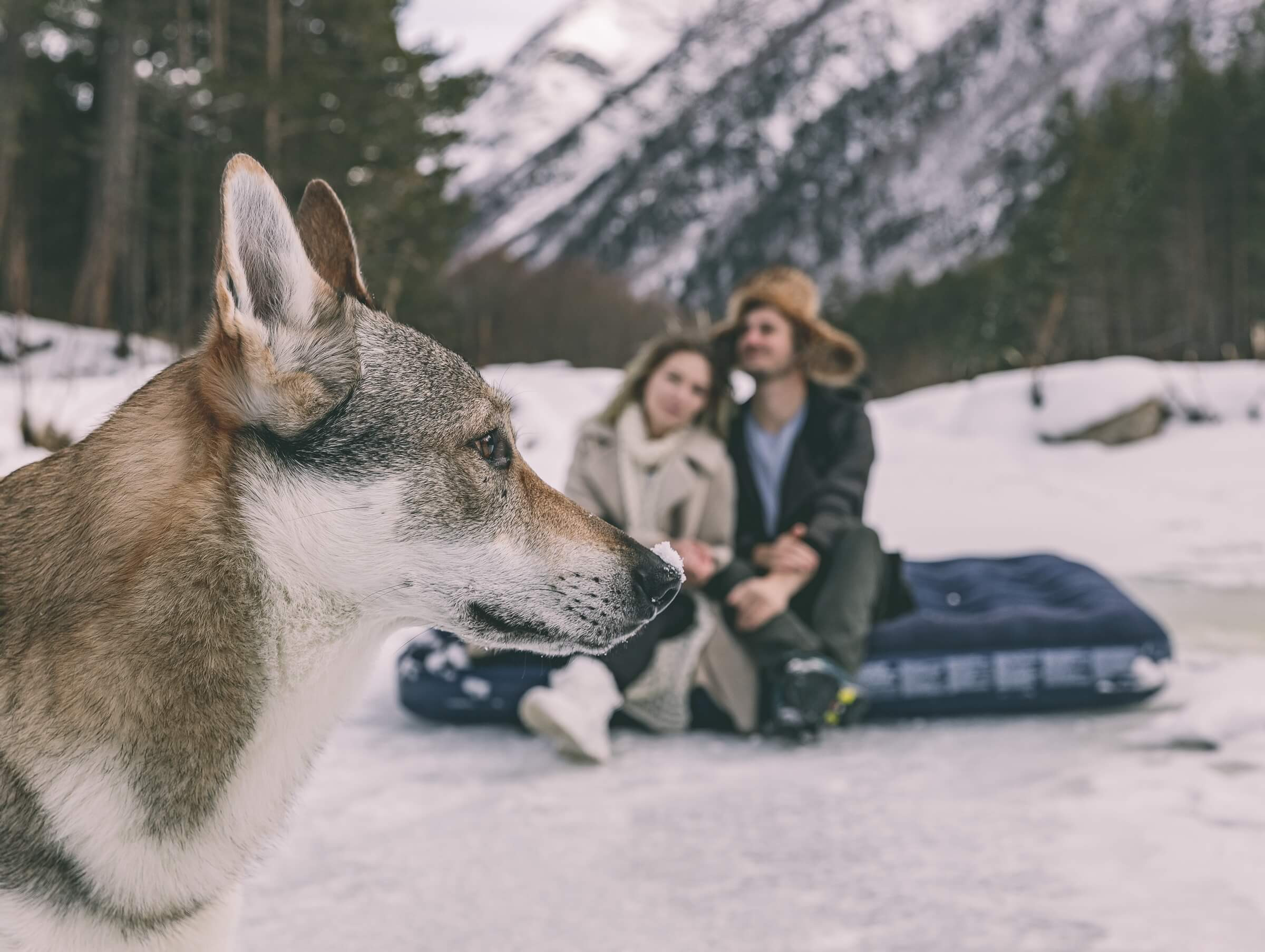 Артур и Алёна. Свадебный фотограф Мостовой Аркадий, Краснодар, Сочи