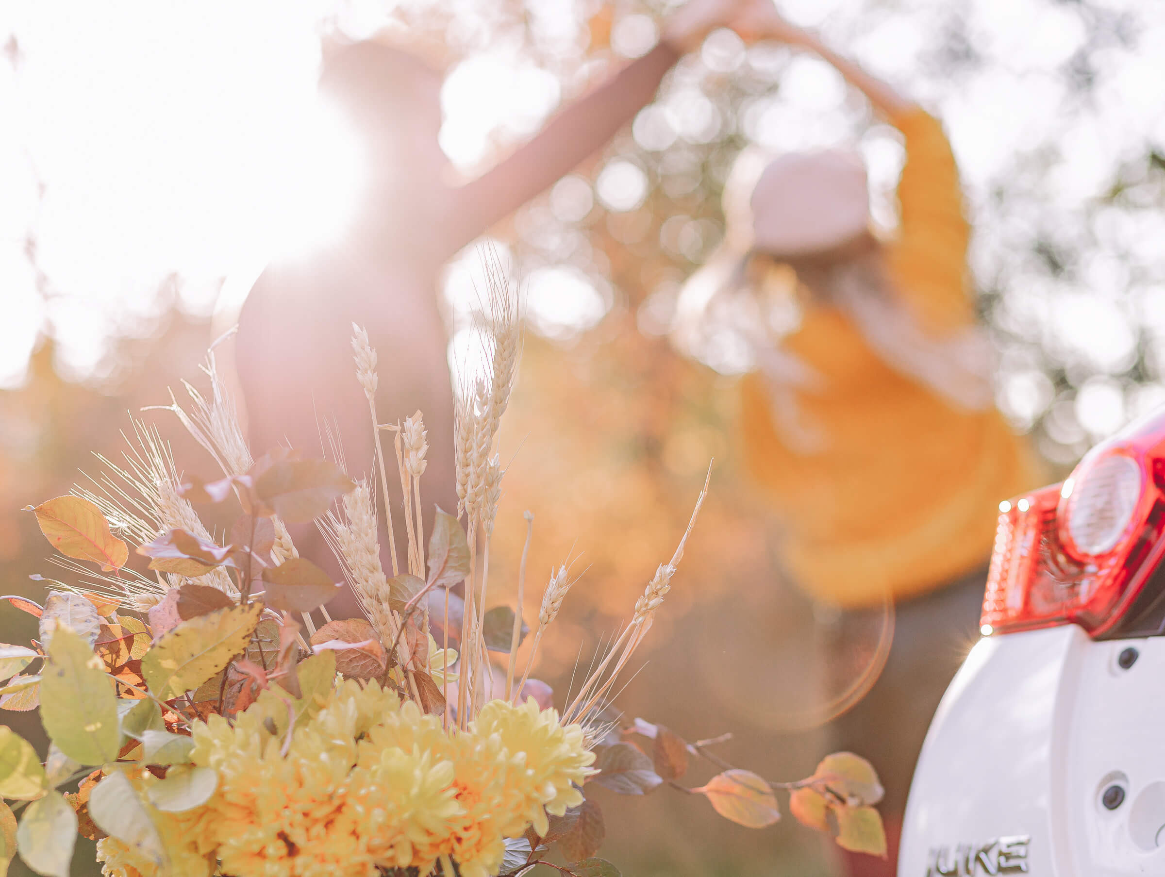 Сергей и Анна. Свадебный фотограф Мостовой Аркадий, Краснодар, Сочи