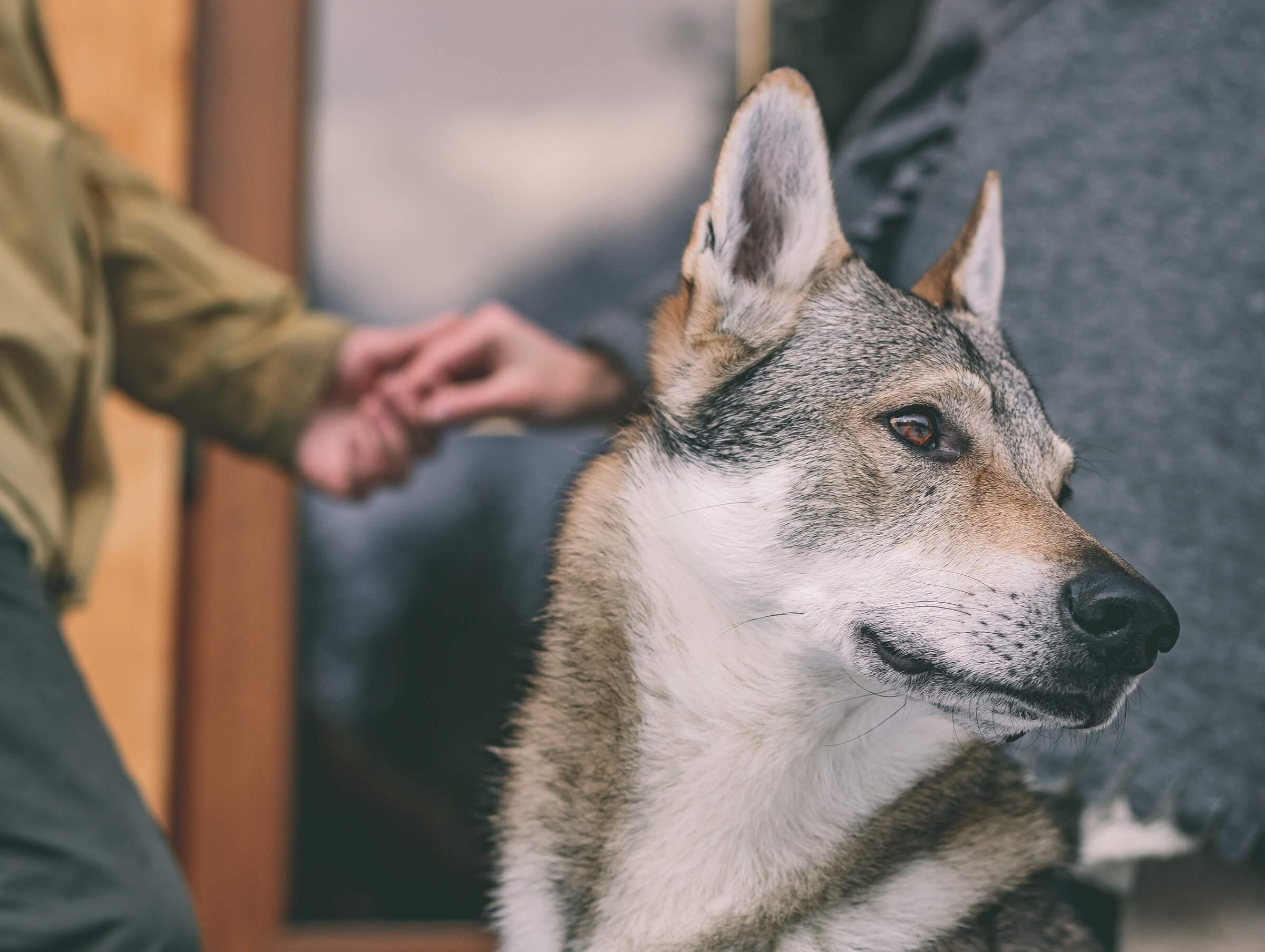 Артур и Алёна. Свадебный фотограф Мостовой Аркадий, Краснодар, Сочи
