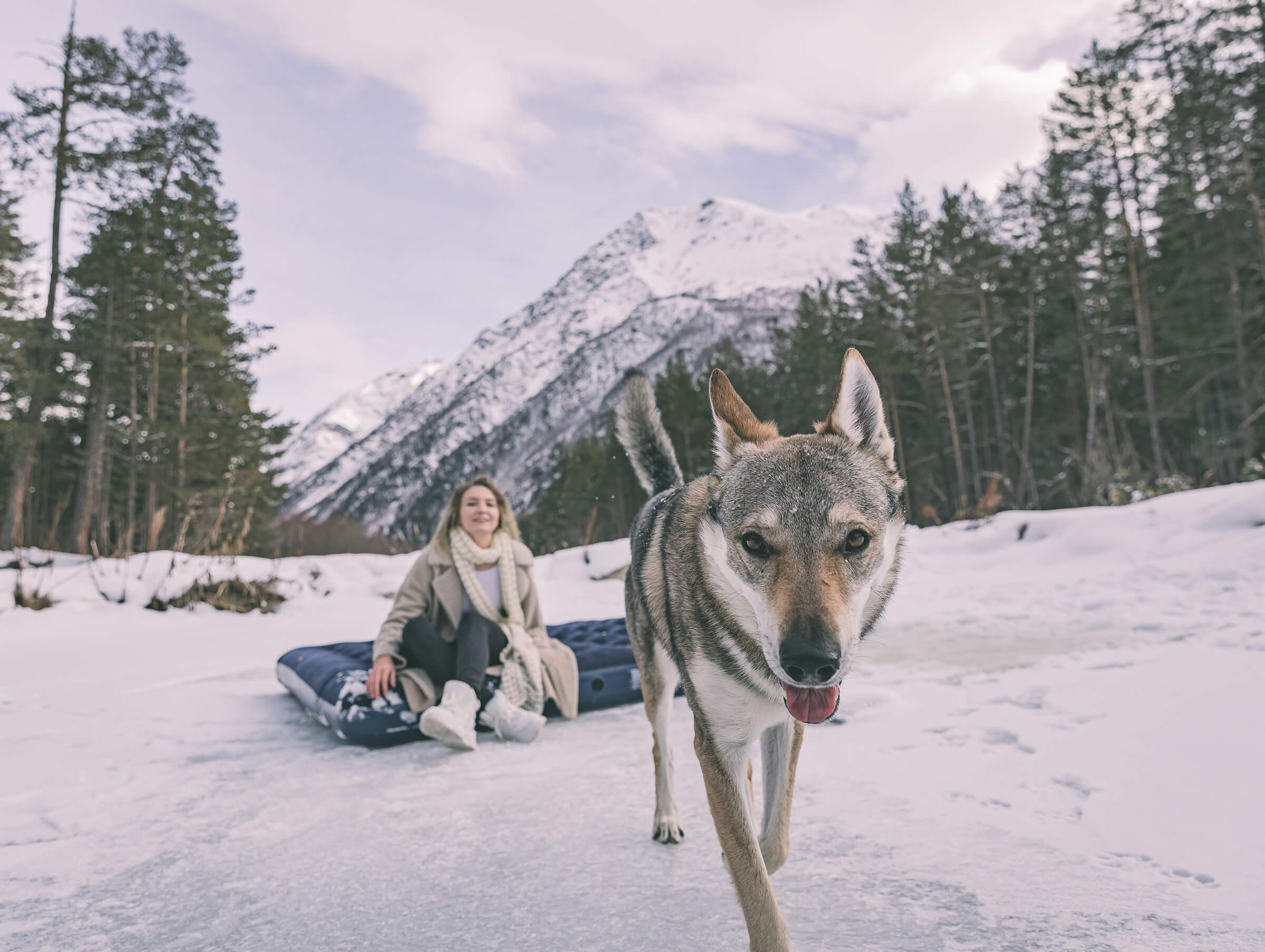 Артур и Алёна. Свадебный фотограф Мостовой Аркадий, Краснодар, Сочи