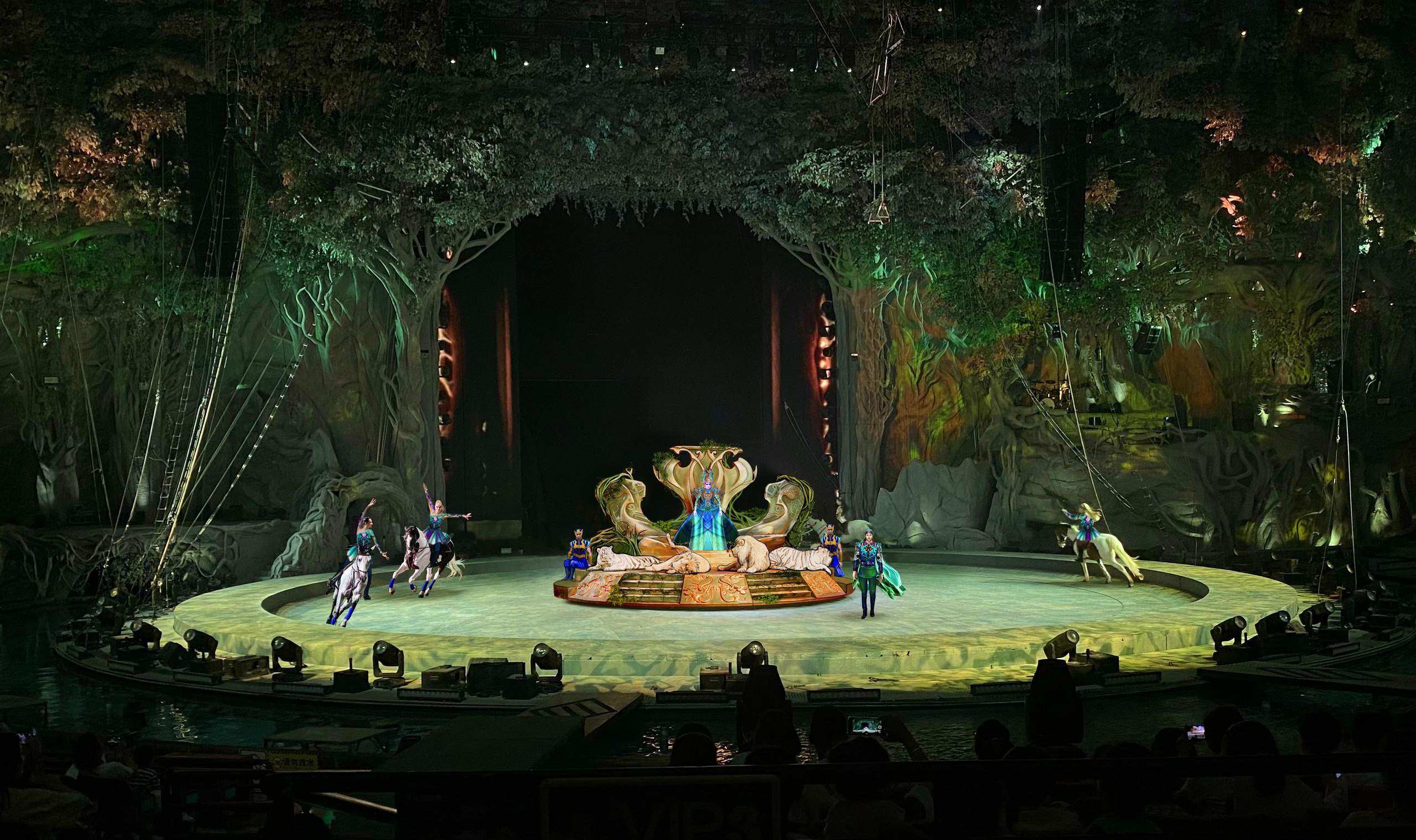 PROPS. Munina Dina. Set design portfolio