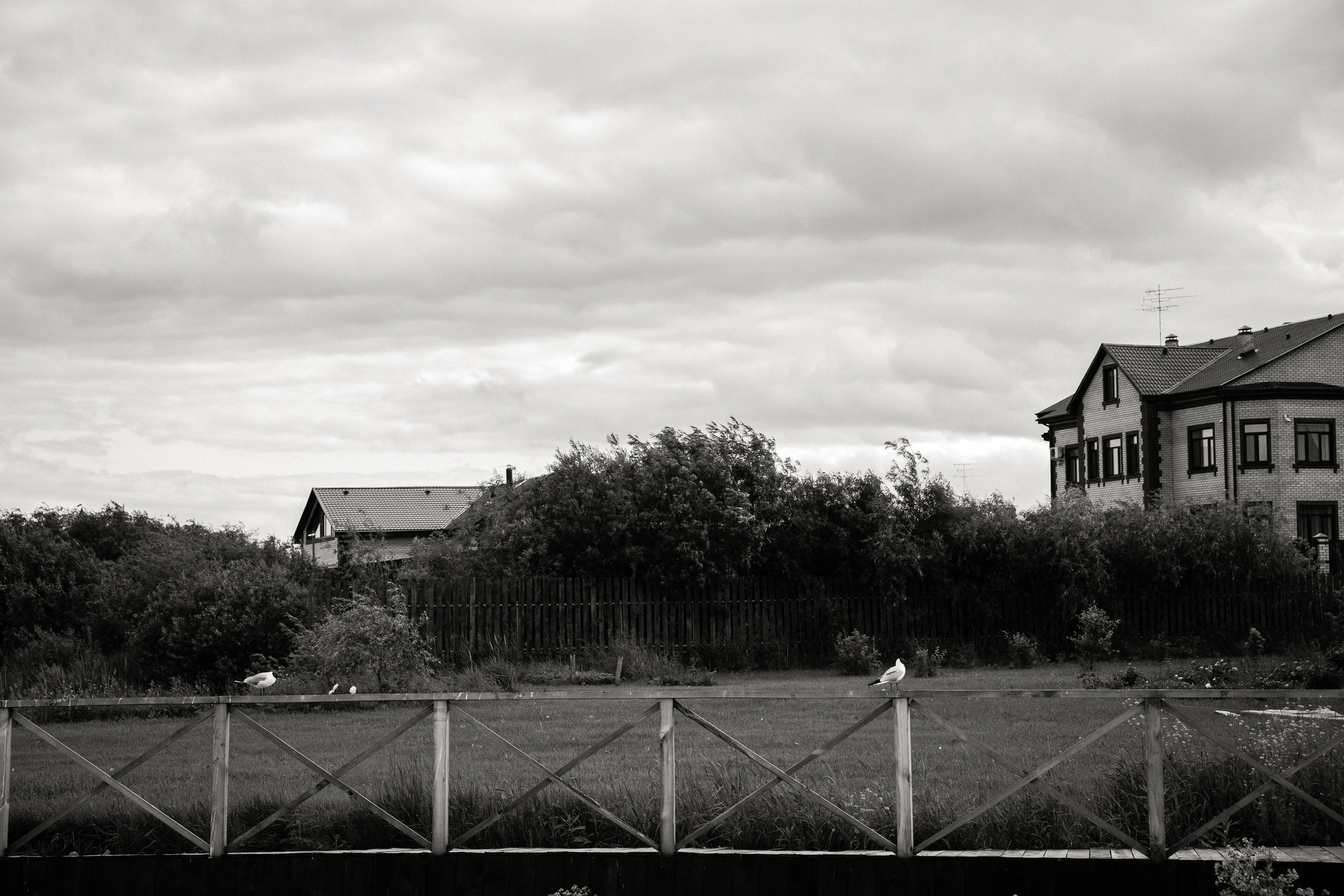 Выпускной в Островском. Фотограф Антон Никандров