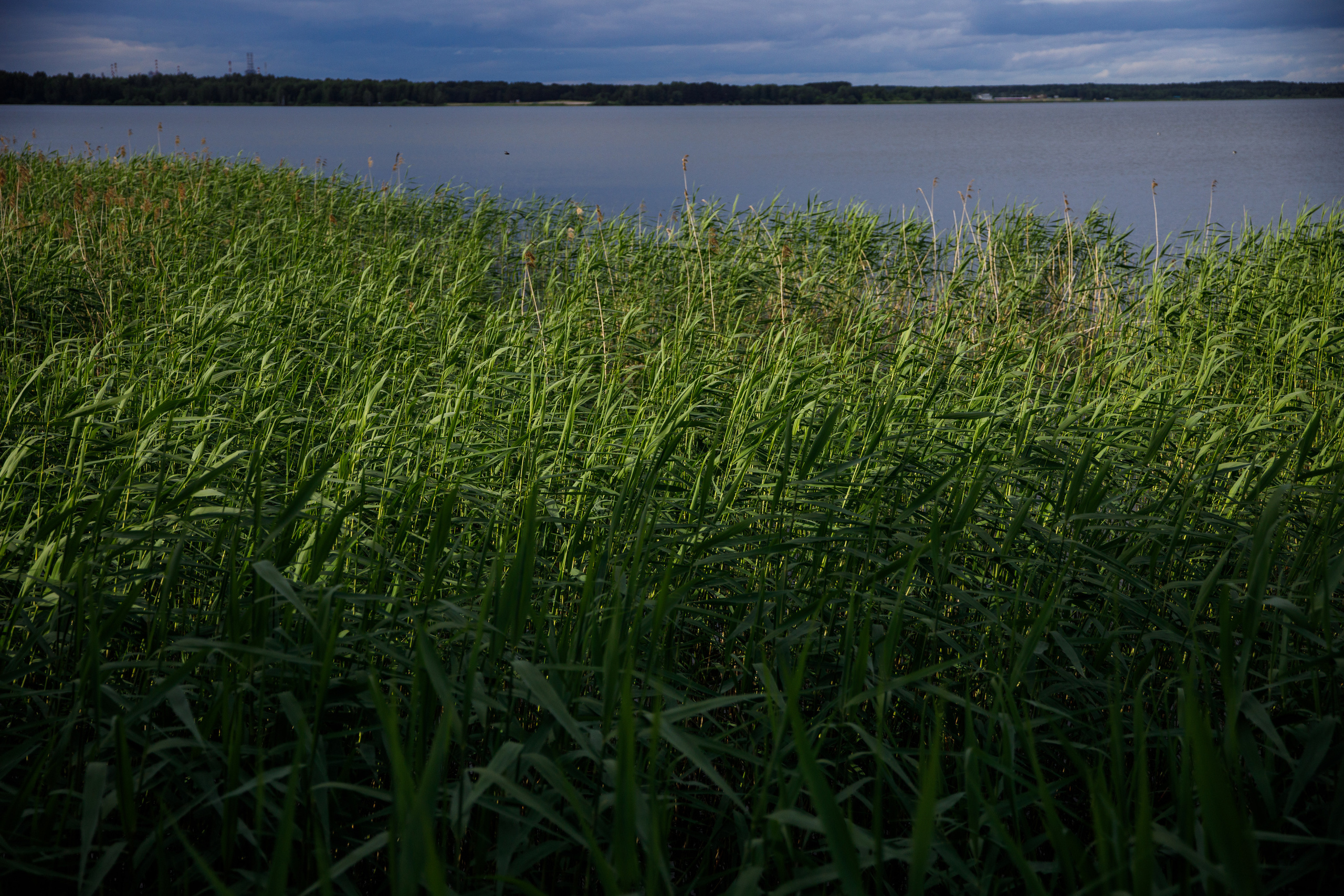 Выпускной в Островском. Фотограф Антон Никандров