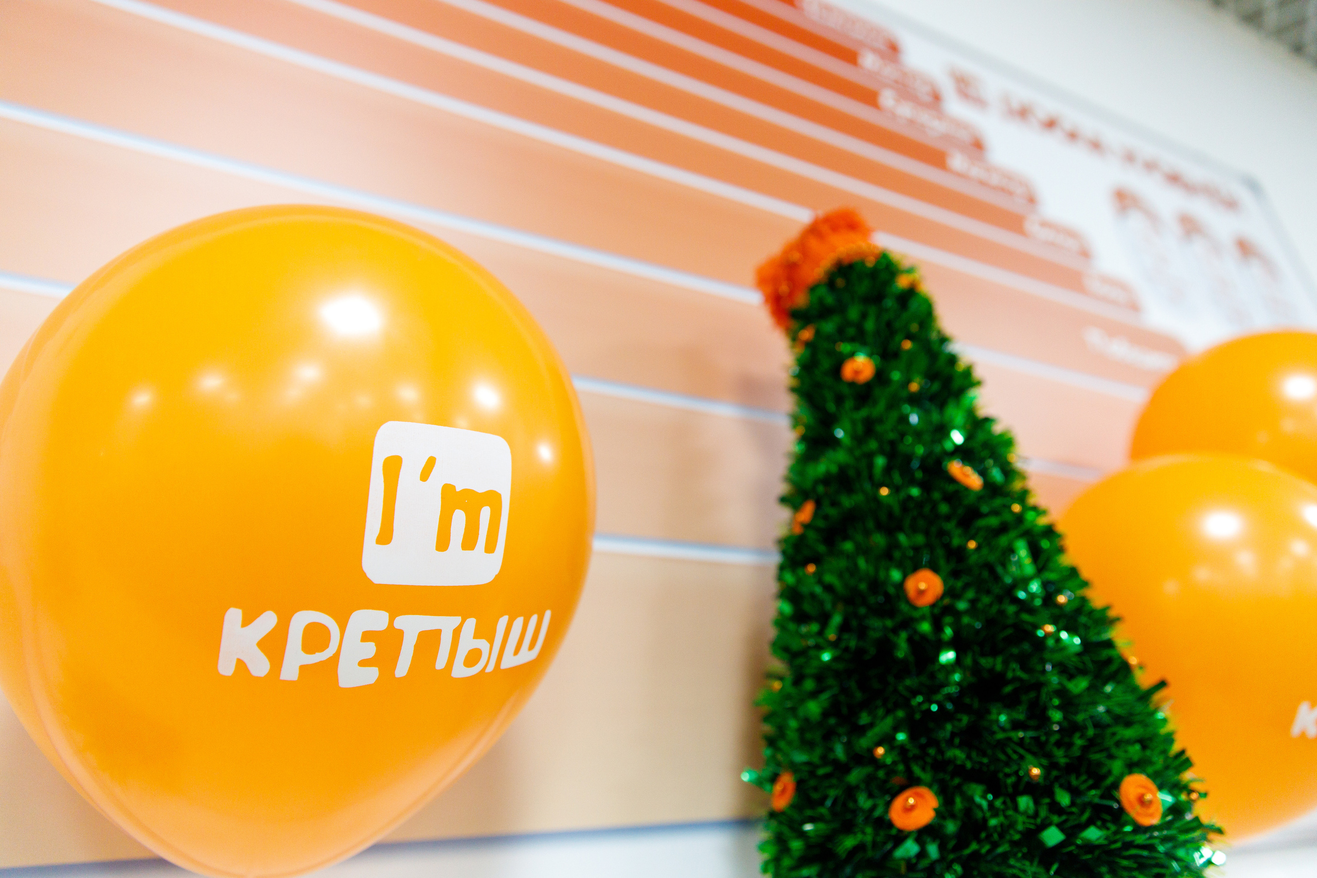 Открытие детского центра развития Крепыш. Фотограф Антон Никандров