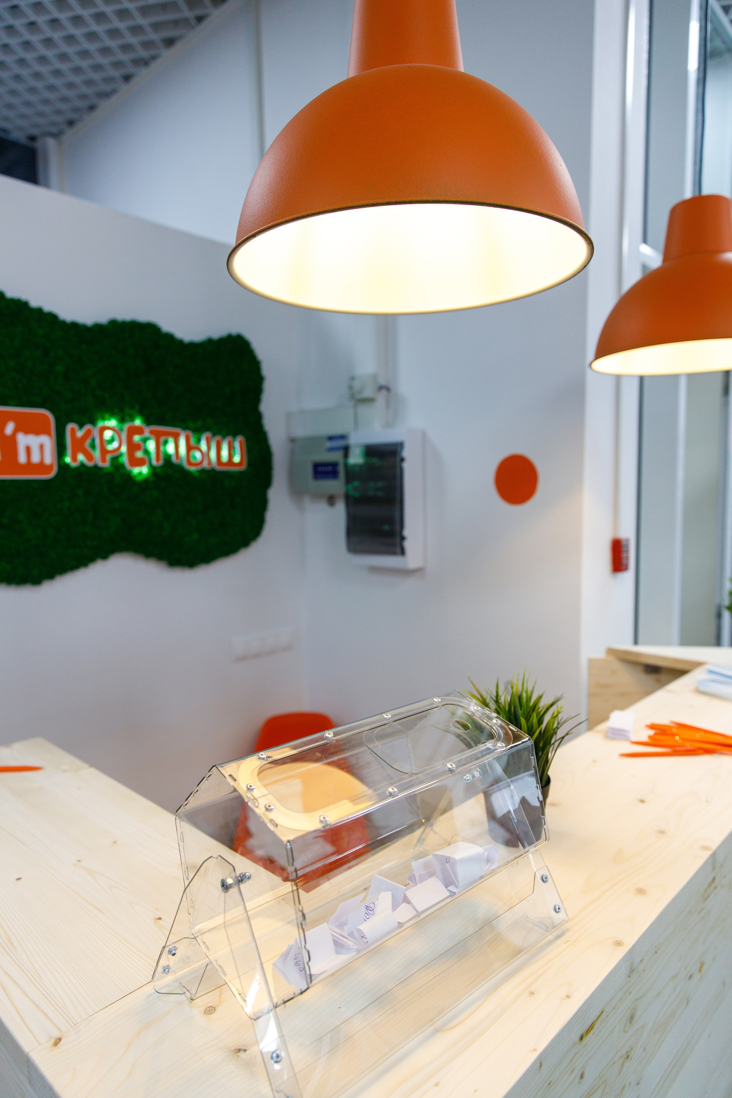 Открытие детского центра развития Крепыш. Фотограф Антон Никандров