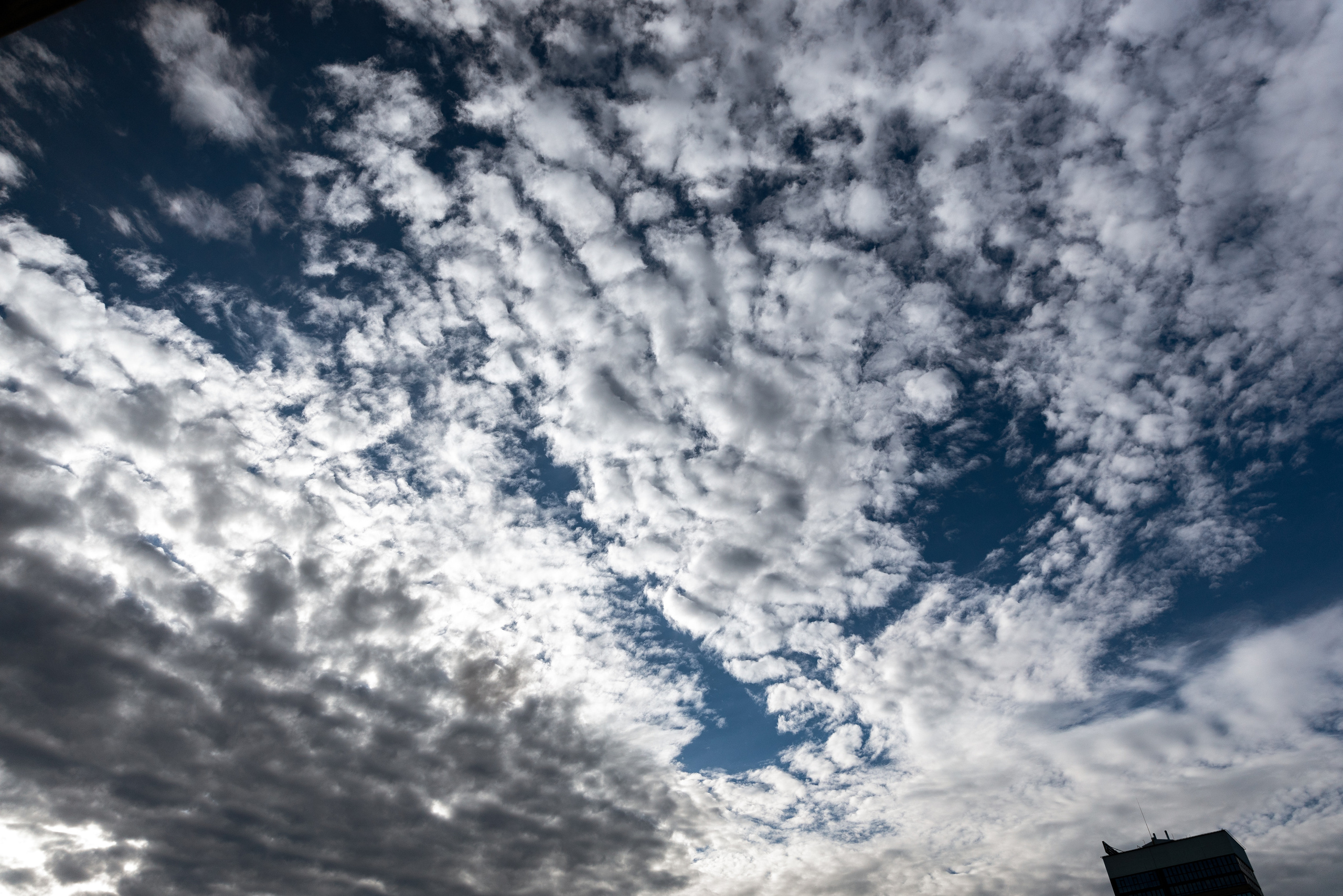 Выпускной ТГУ. Своя Набережная. Фотограф Антон Никандров