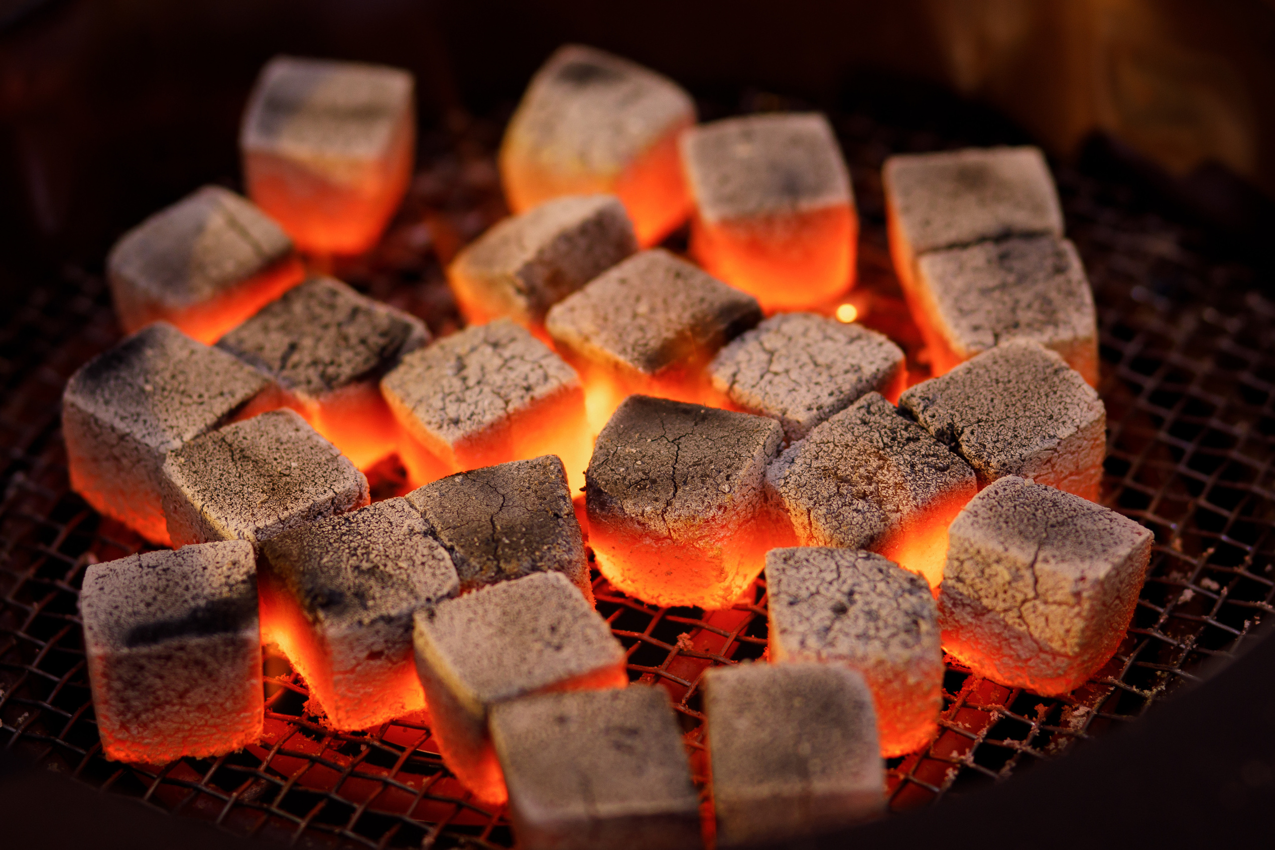 Выставка Экспо, Санкт-Петербург. Бренд Tommy Gun. Фотограф Антон Никандров