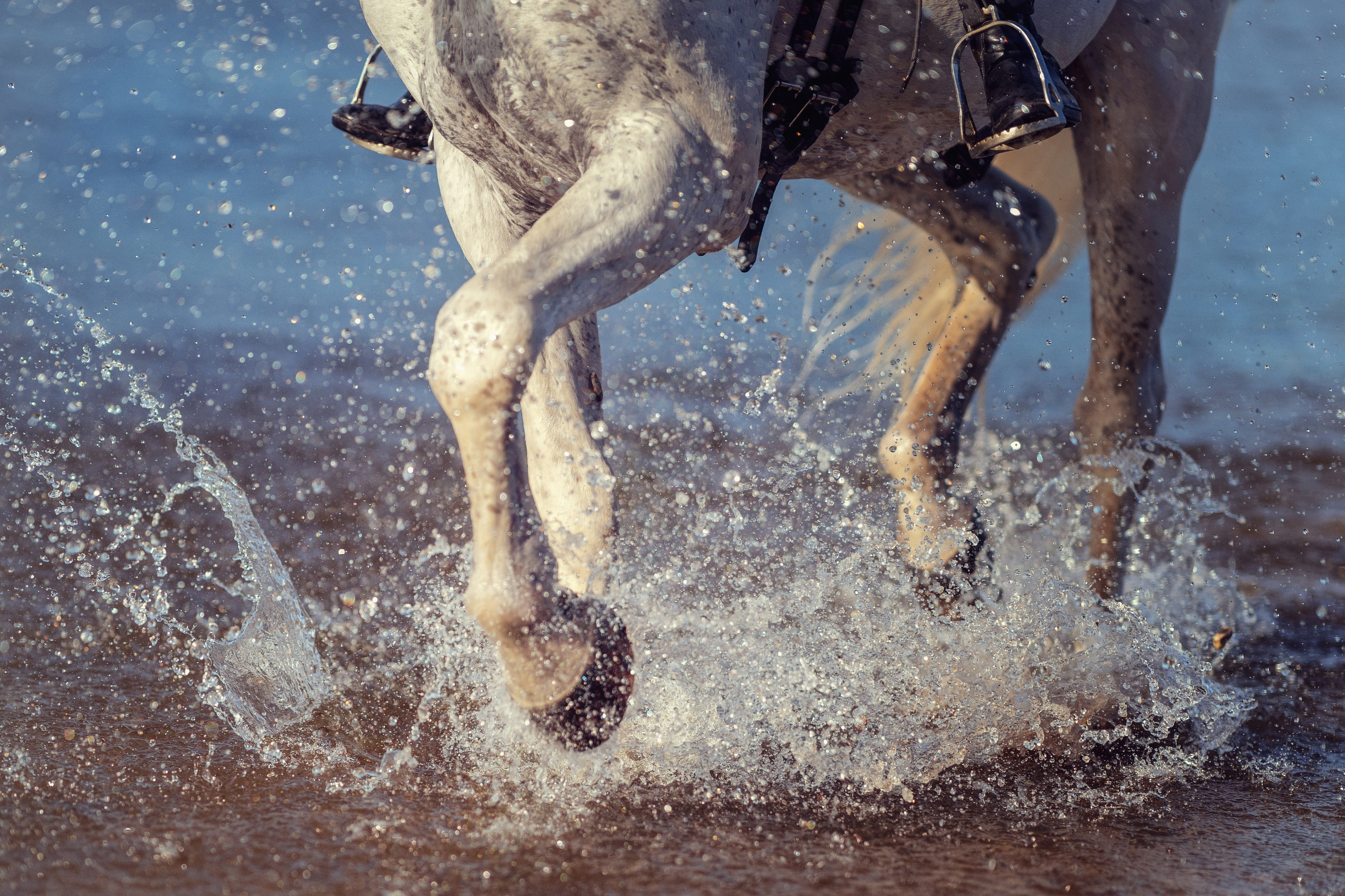 Грани. Семейный фотограф Новая Рига (Звенигород, Истра) Евгения Литовченко