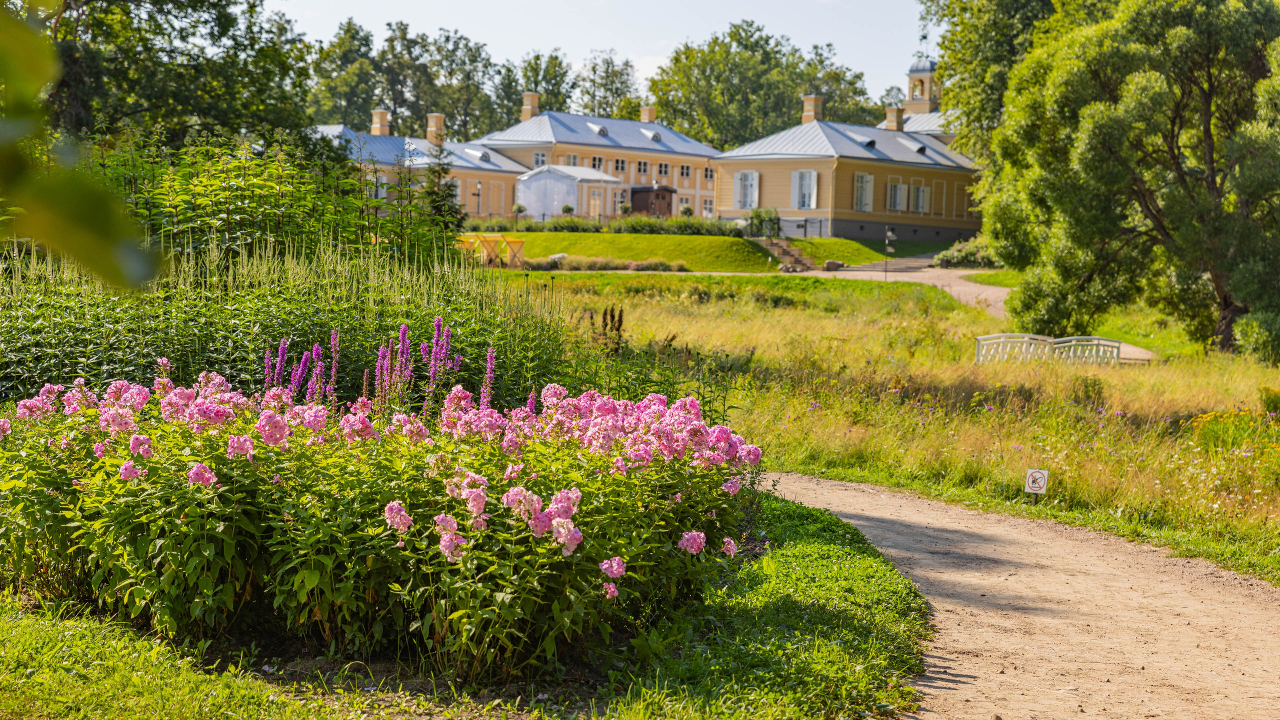 2025 07 Выборг — Сортавала — Великий Новгород — Псков. Фотографии