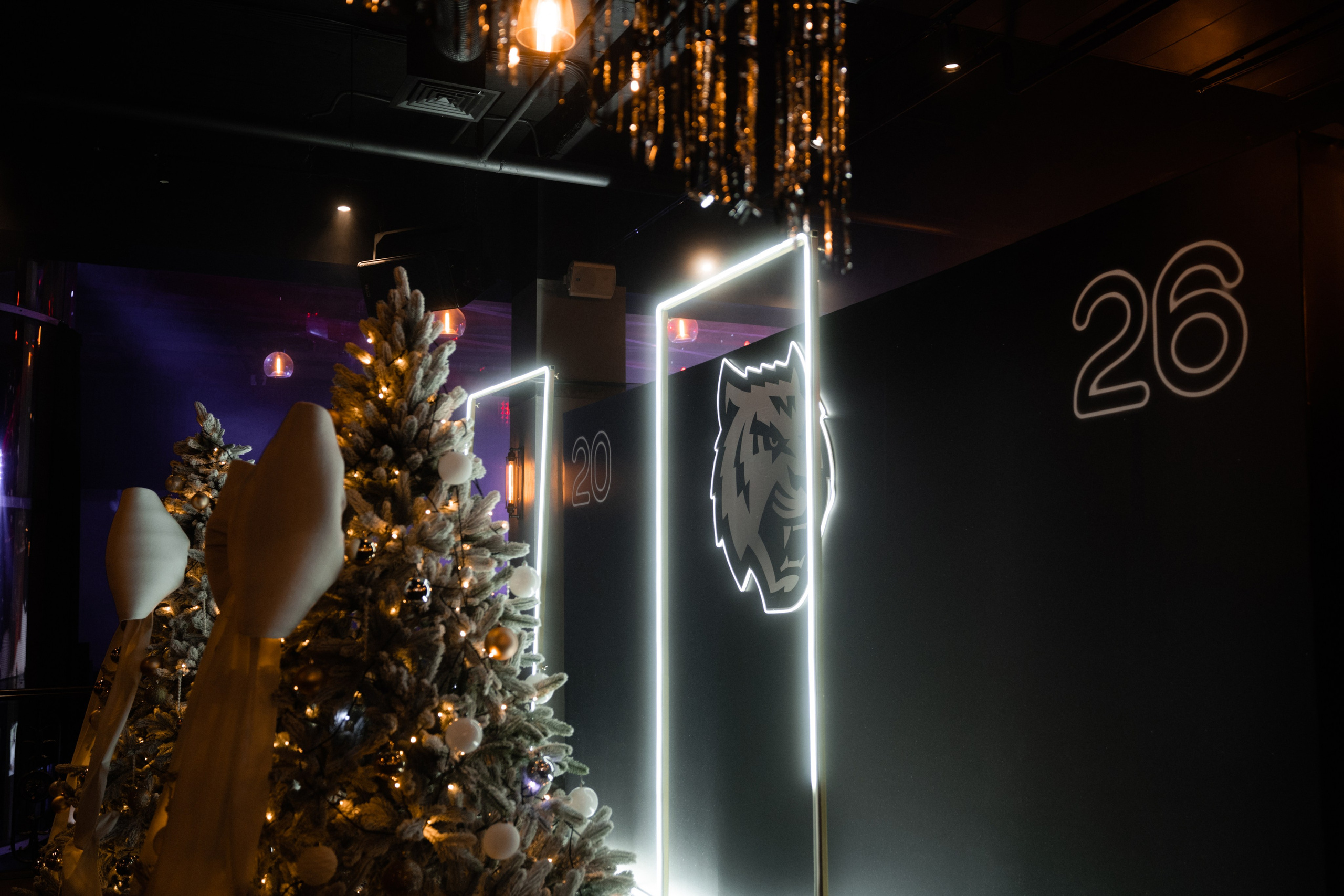 БК Московский 2026. Фотограф и видеограф Мария Банщикова, Солнечногорск, Москва