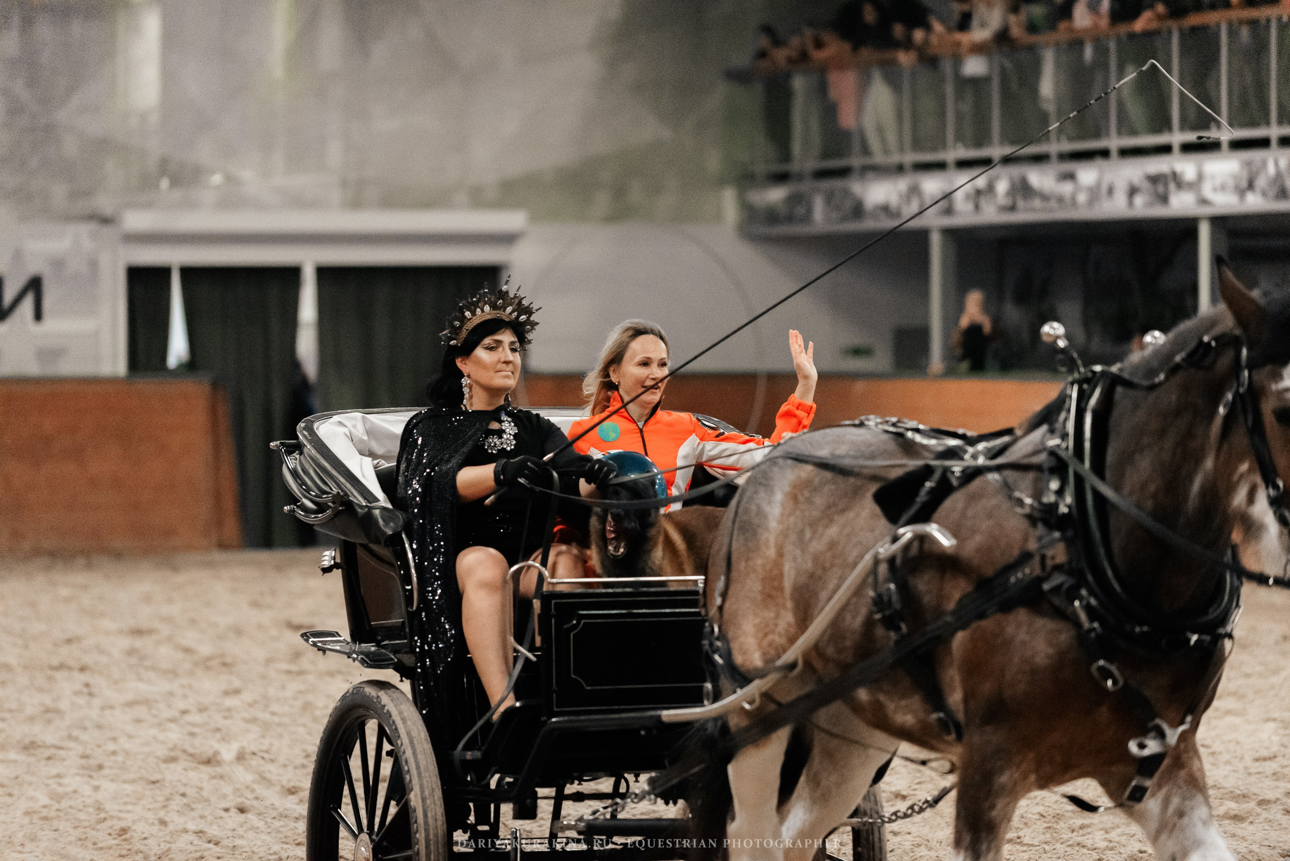 Конное представление «Дыхание Звёзд». Конный фотограф Куракина Дарья • Фотосессии с лошадьми