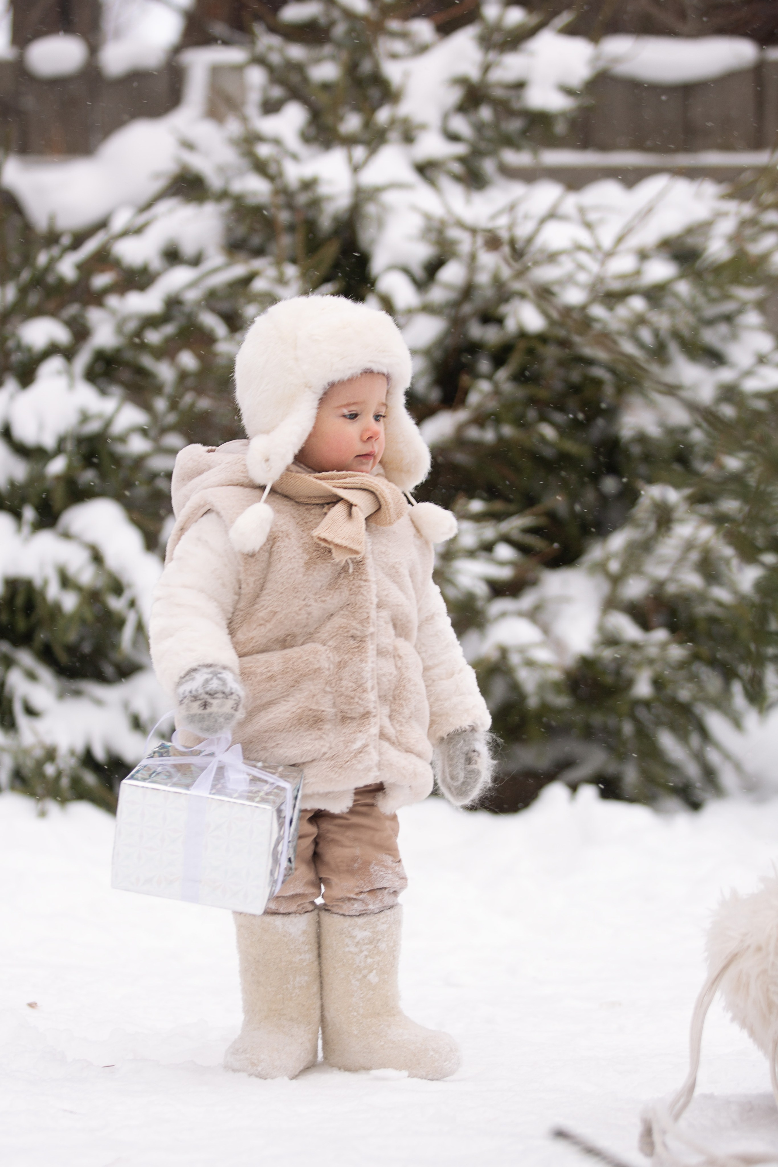 Зимняя прогулка. Семейный и детский фотограф в Москве Юлия