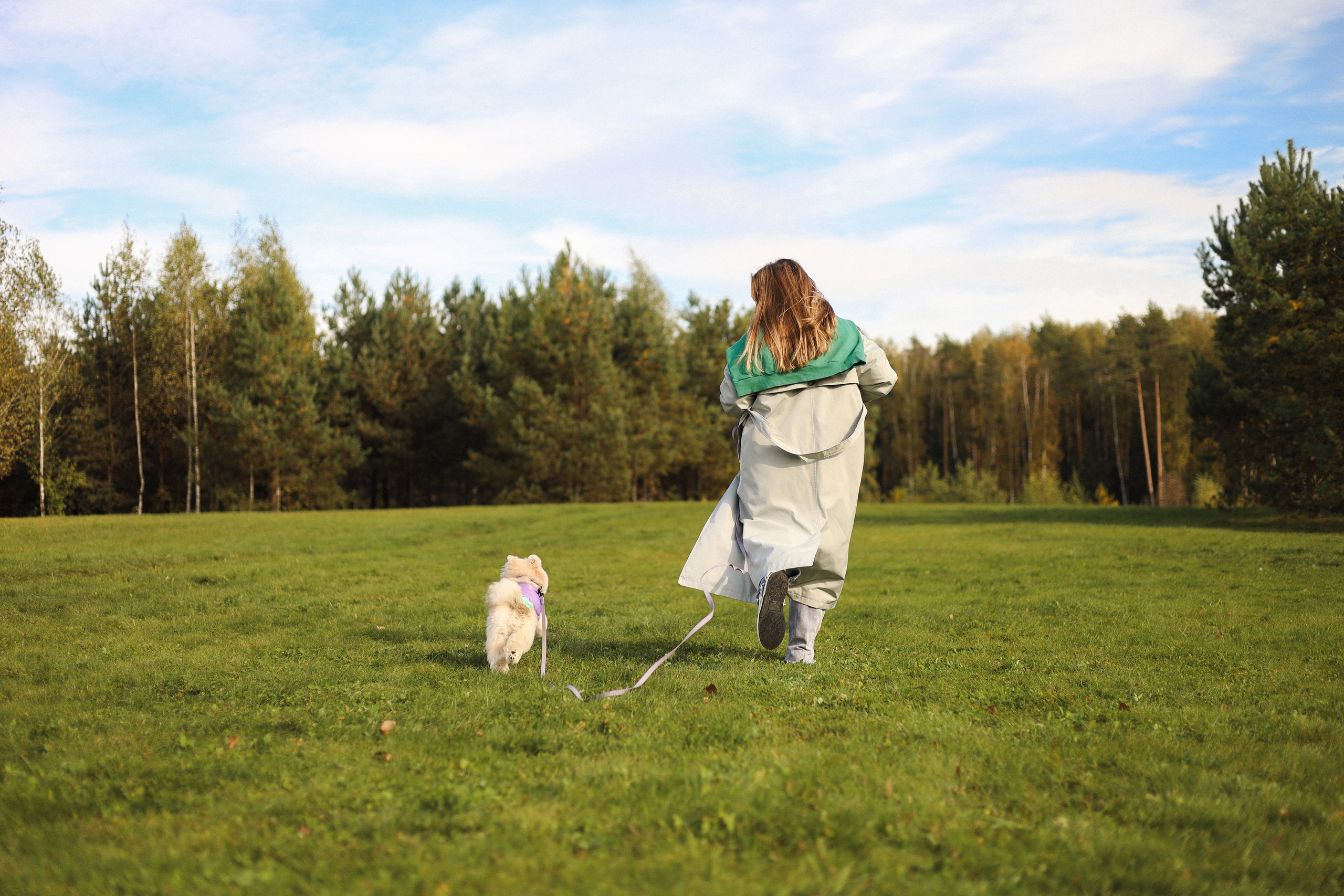 Купер и Надежда. Фотограф-анималист Ксения Шевцова|Москва