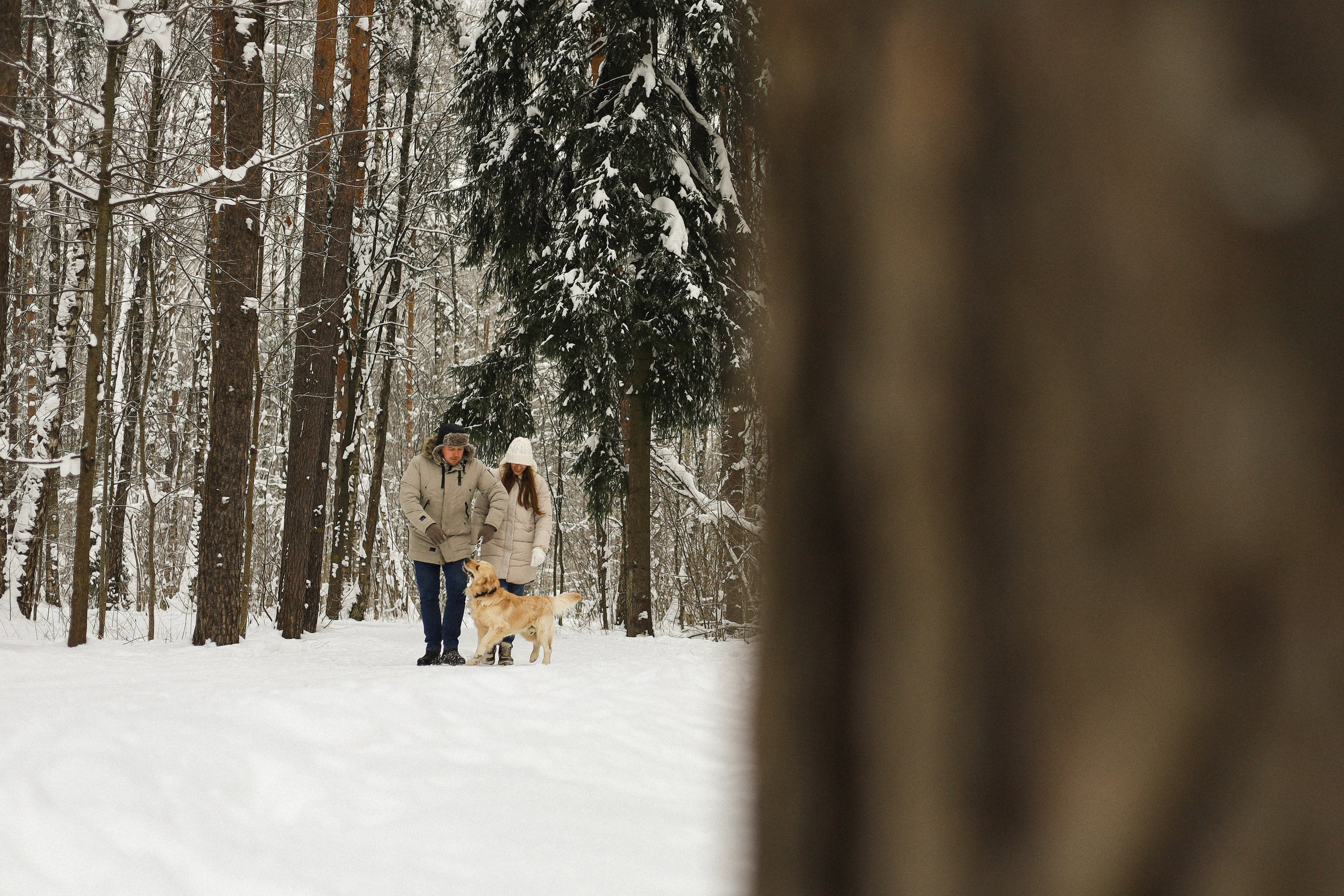 Стивен, Лена и Миша. Фотограф-анималист Ксения Шевцова|Москва