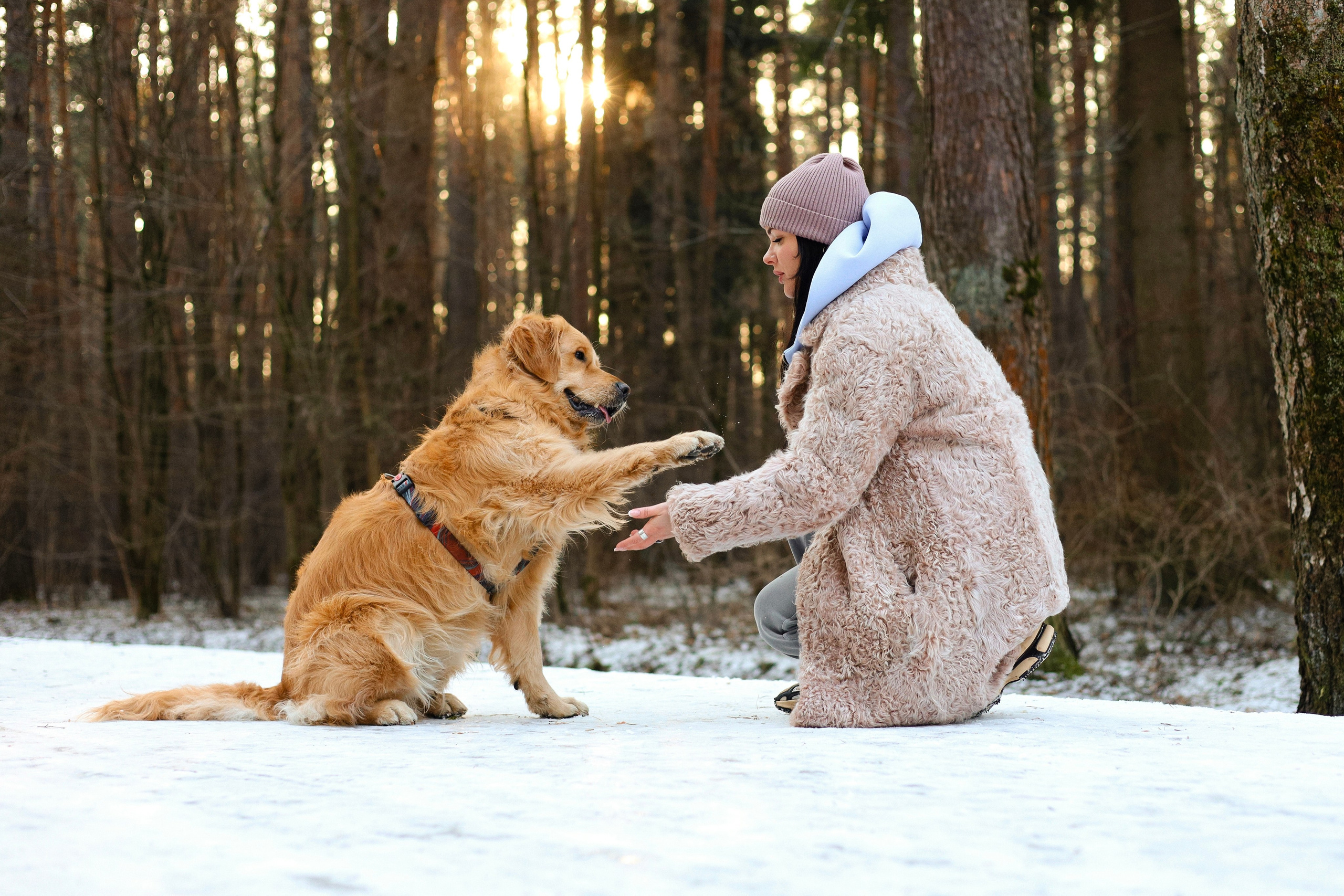 Лёва и Катя. Фотограф-анималист Ксения Шевцова|Москва