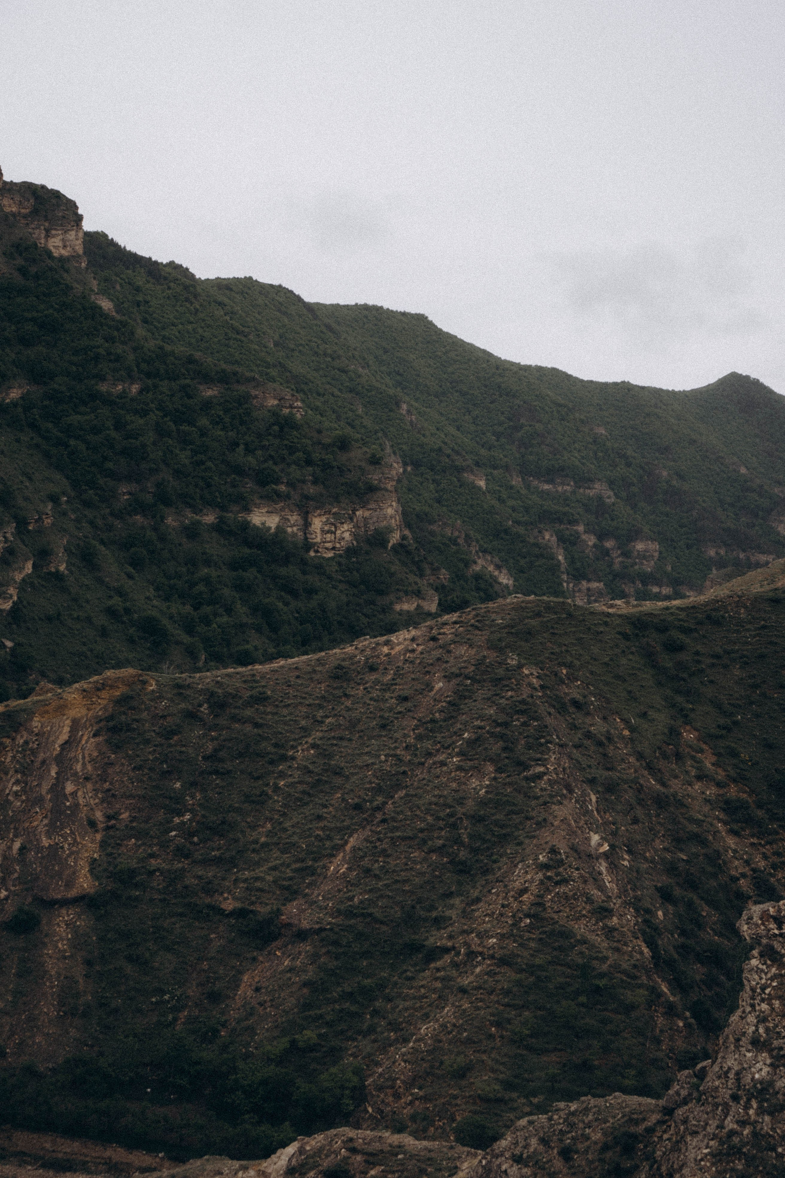 Кавказ. Профессиональный фотограф, Санкт-Петербург — Виктория Богомолова