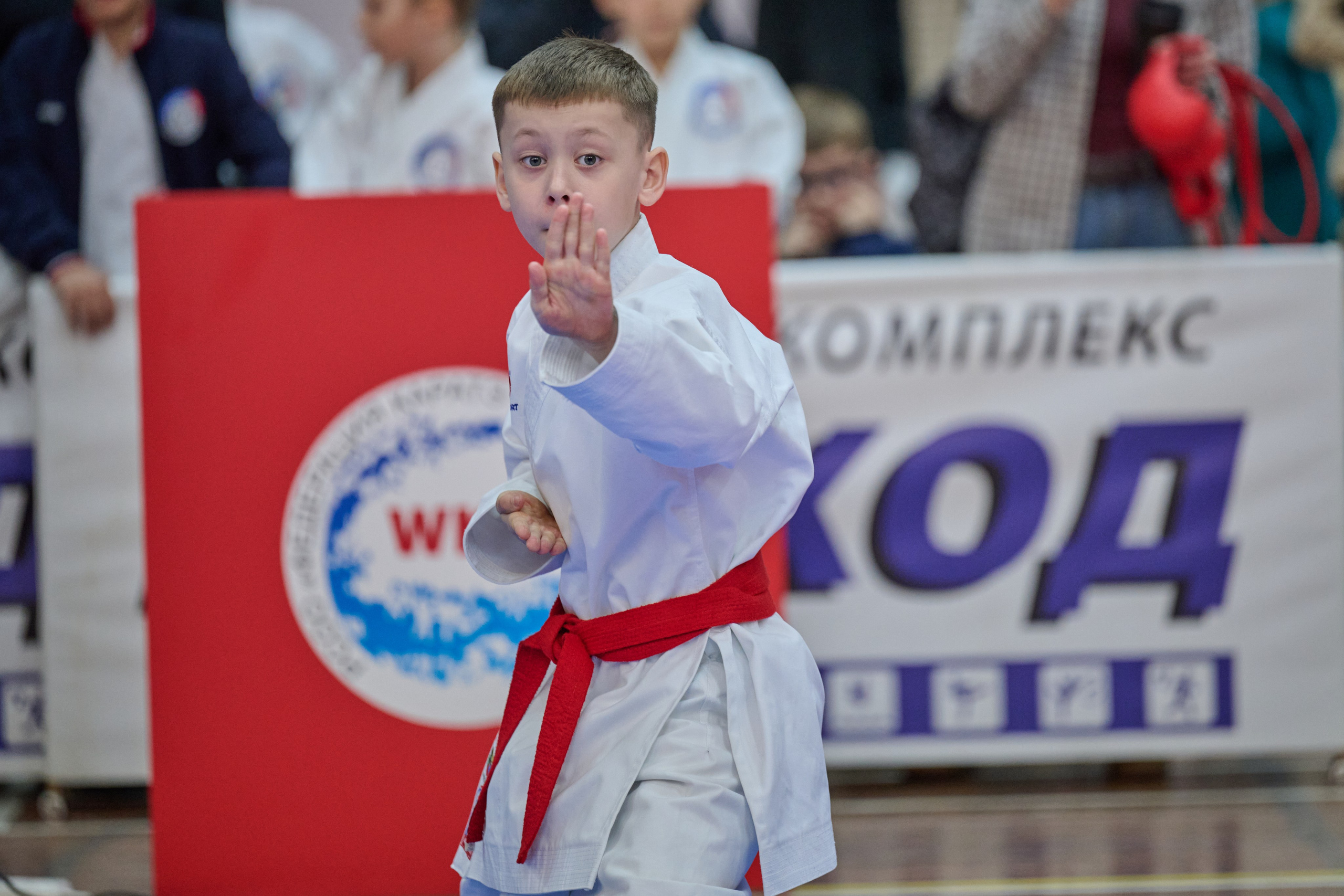 Чемпионат первенства Приморья по карате 28.03.26. Профессиональный репортажный фотограф Инесса Иминова