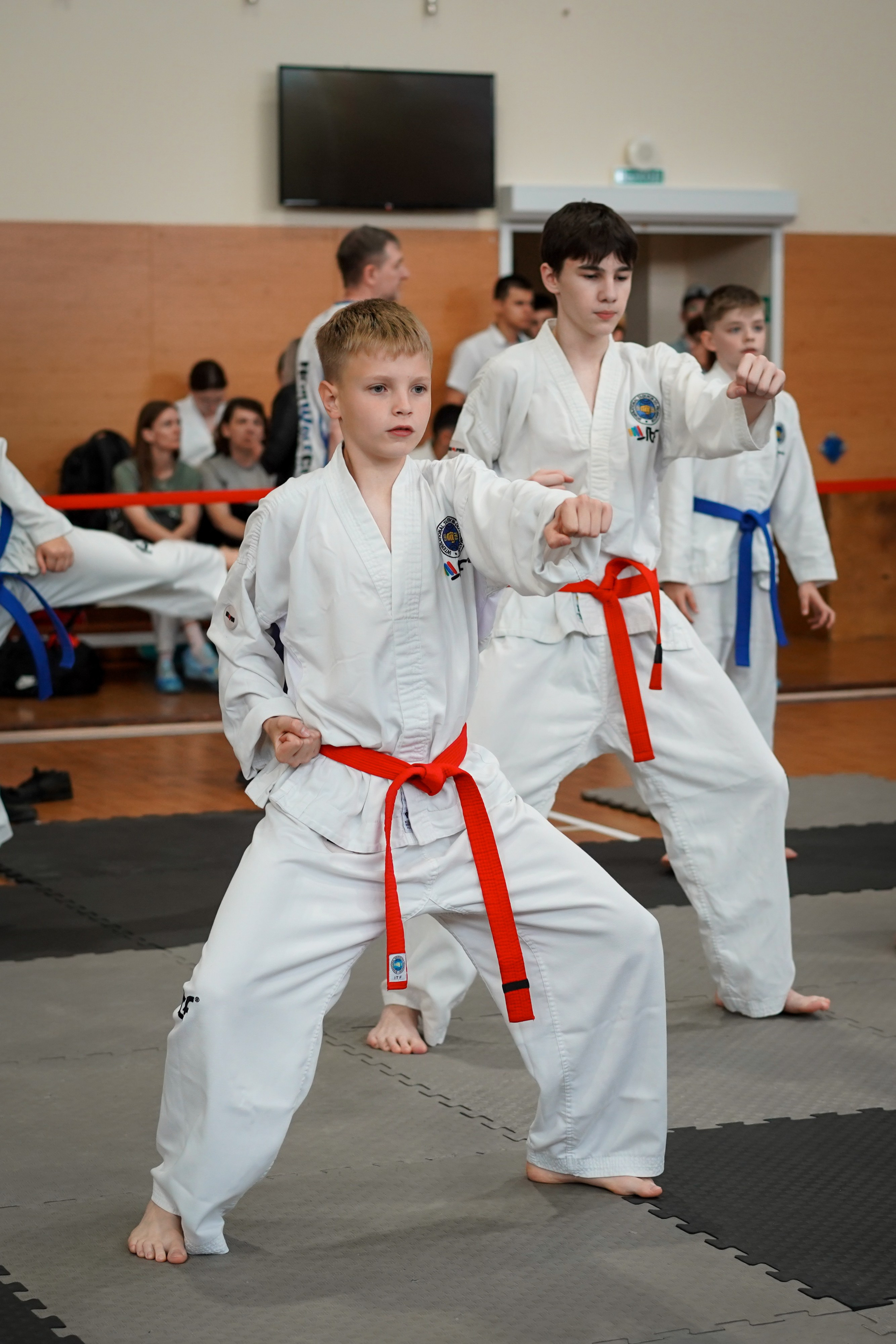 Тхэквандо — соревнования. Выпускные альбомы Натальи Бутко: Новороссийск, Анапа, Геленджик