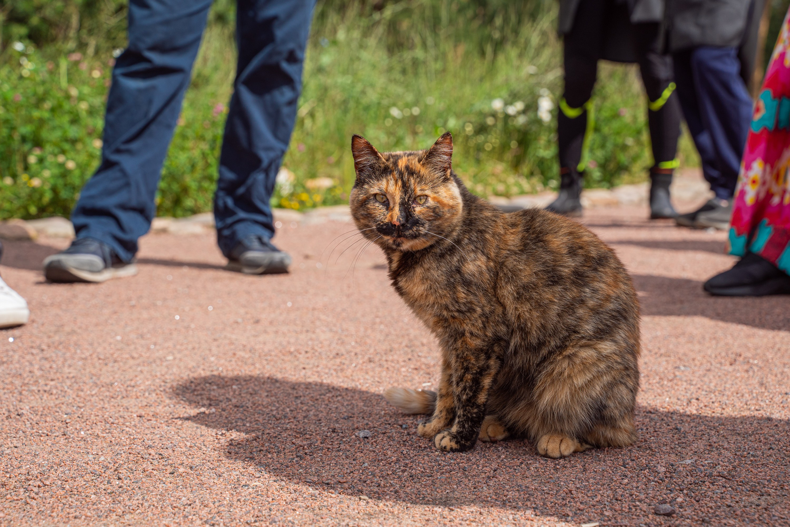 Гидровыезд в Коневский мужской монастырь. Свадебный, семейный, портретный, репортажный фотограф в Санкт-Петербурге