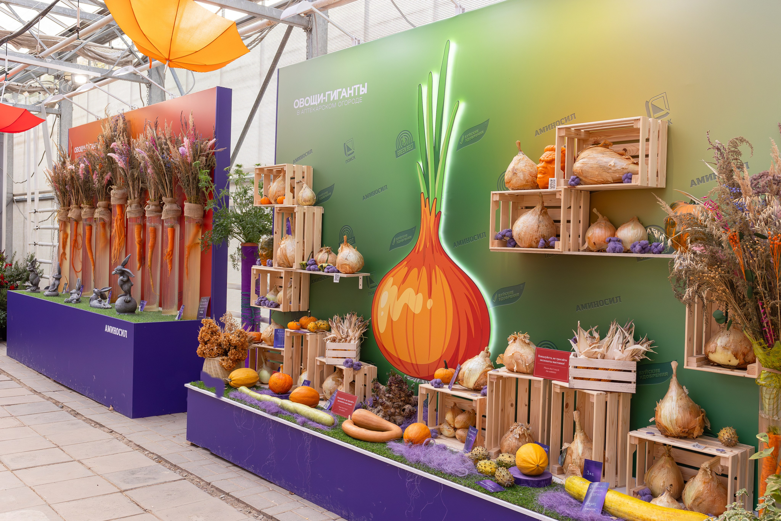 Овощи-гиганты. Александра Куликова фотограф, Москва