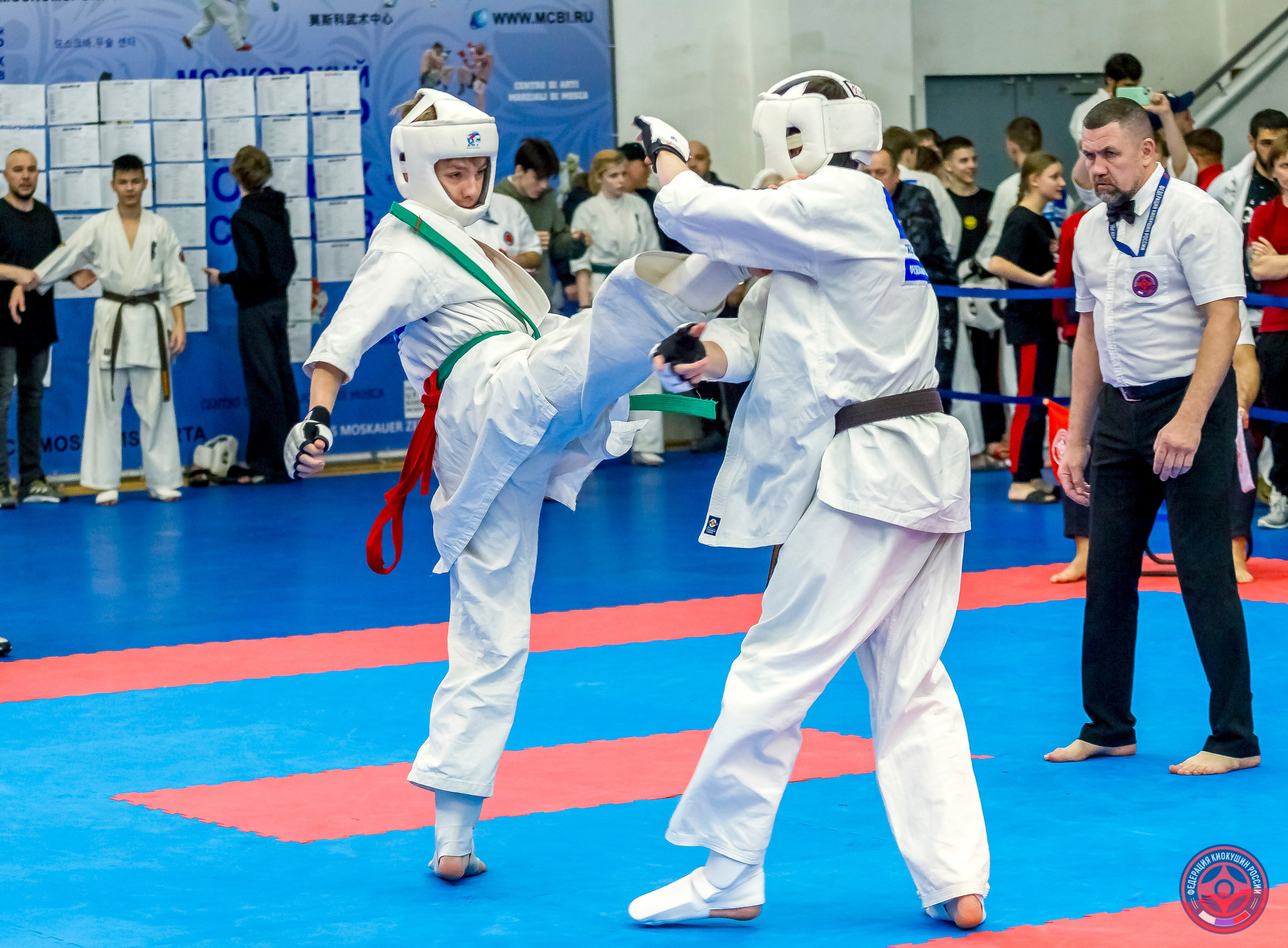 Международный турнир по киокушин «Открытый кубок Seiken». Репортажная съемка в Москве и области. Анималистика