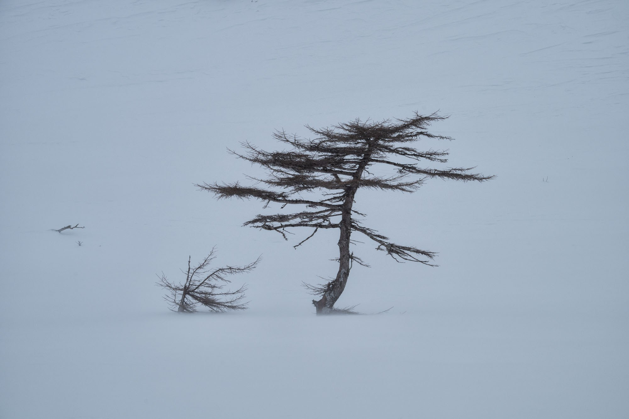 Фотогалерея Зимние Курилы