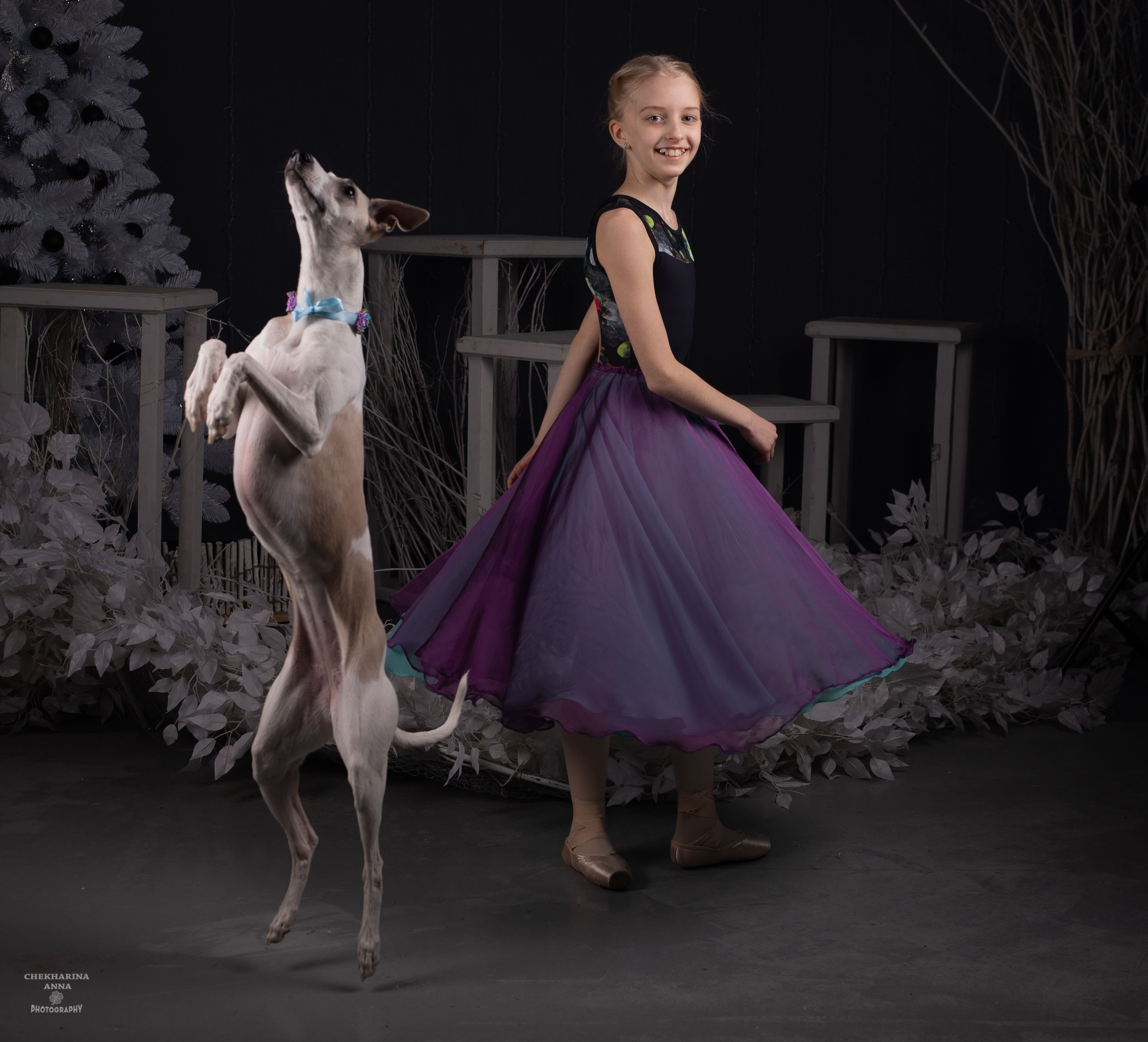 Анималистика. Профессиональный фотограф Чехарина Анна / pro photographer Chekharina