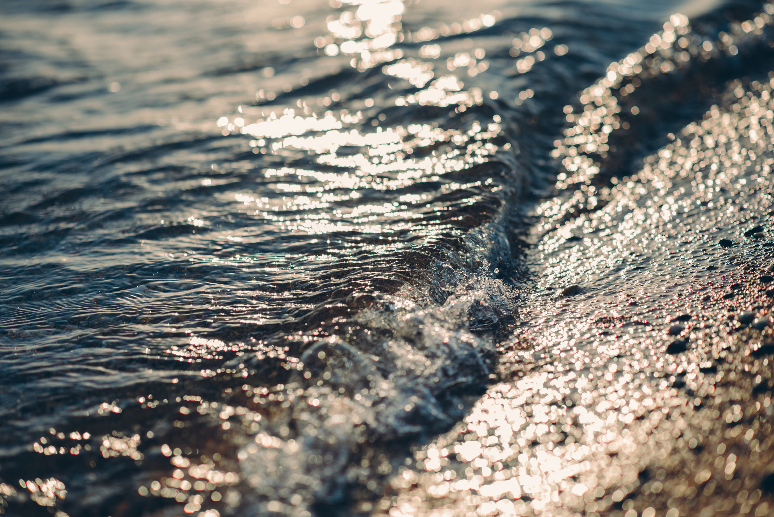 Оля+Саша. Фотограф в Санкт-Петербурге Юлия Стехова