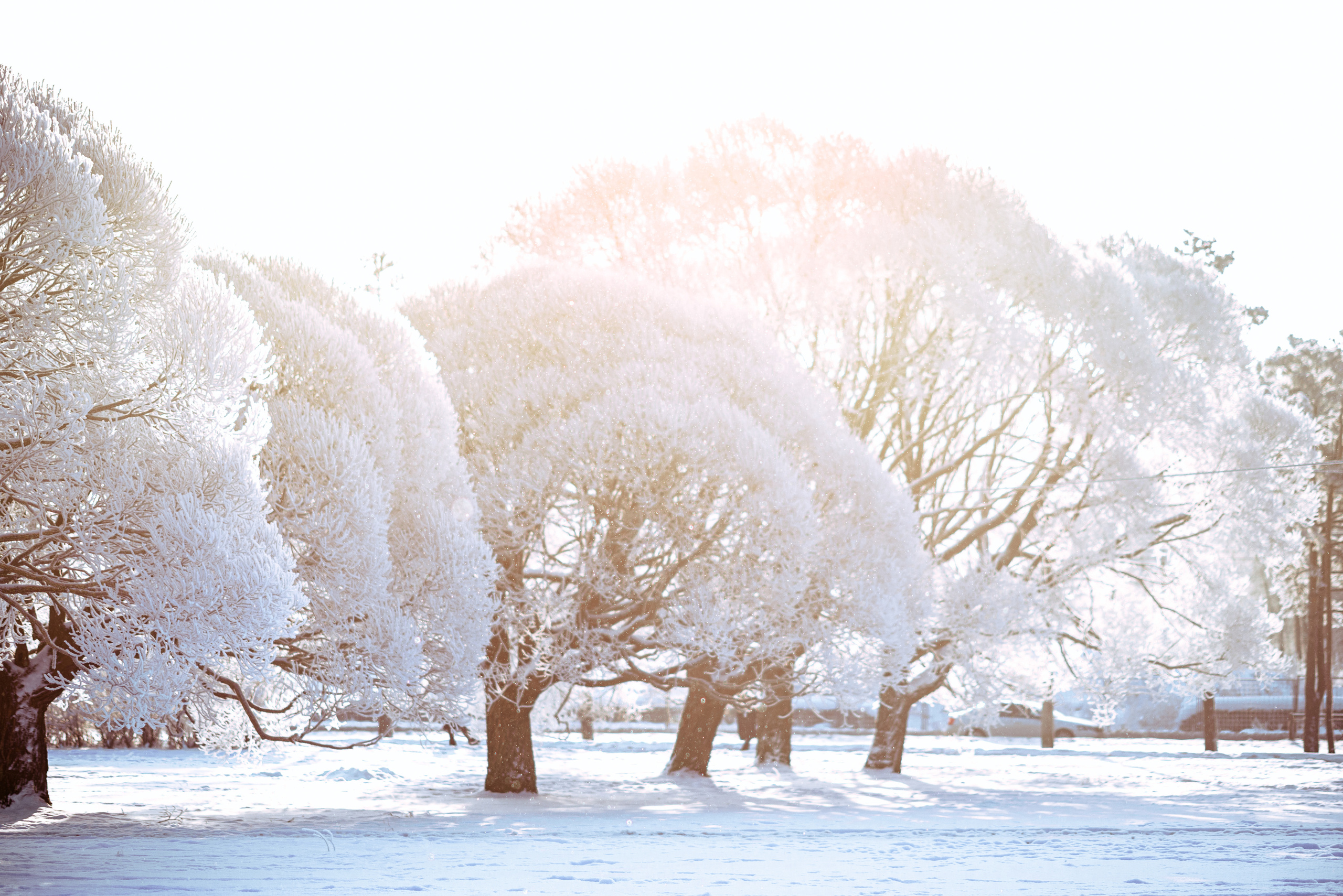 Фотограф в Санкт-Петербурге Юлия Стехова