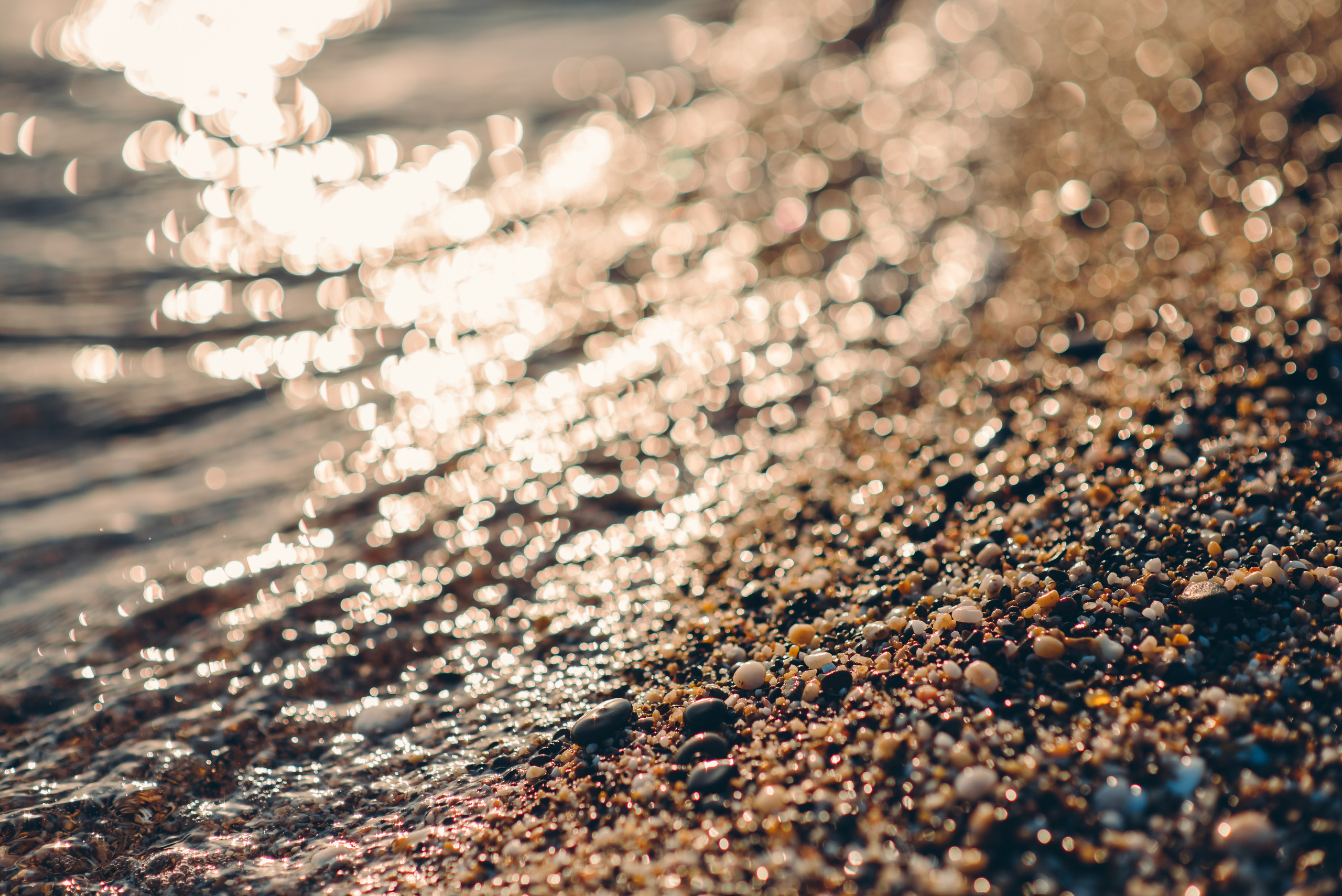 Оля+Саша. Фотограф в Санкт-Петербурге Юлия Стехова