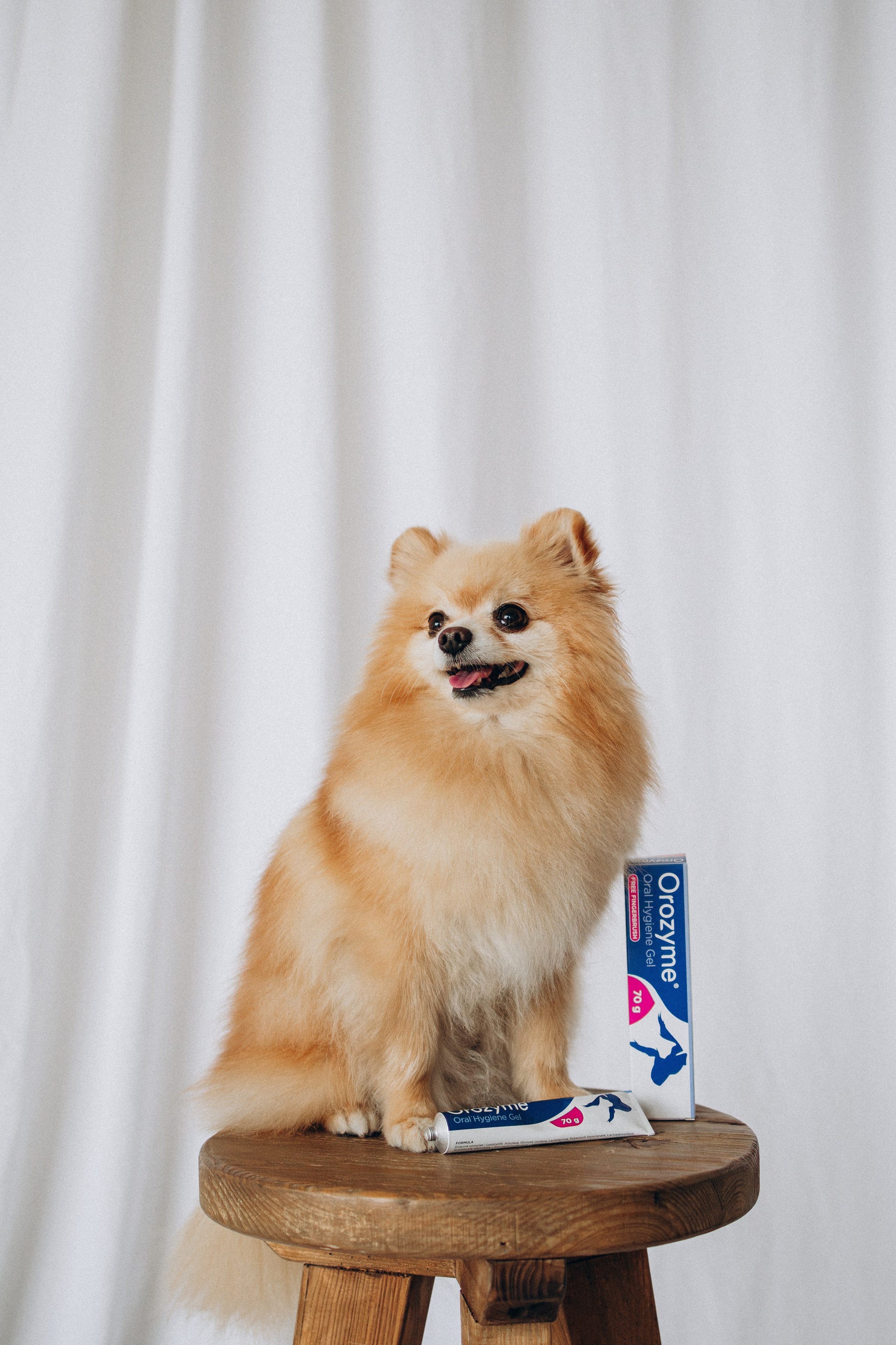 Orozyme&Emmiepet. Фотораф — анималист Мария Шистка