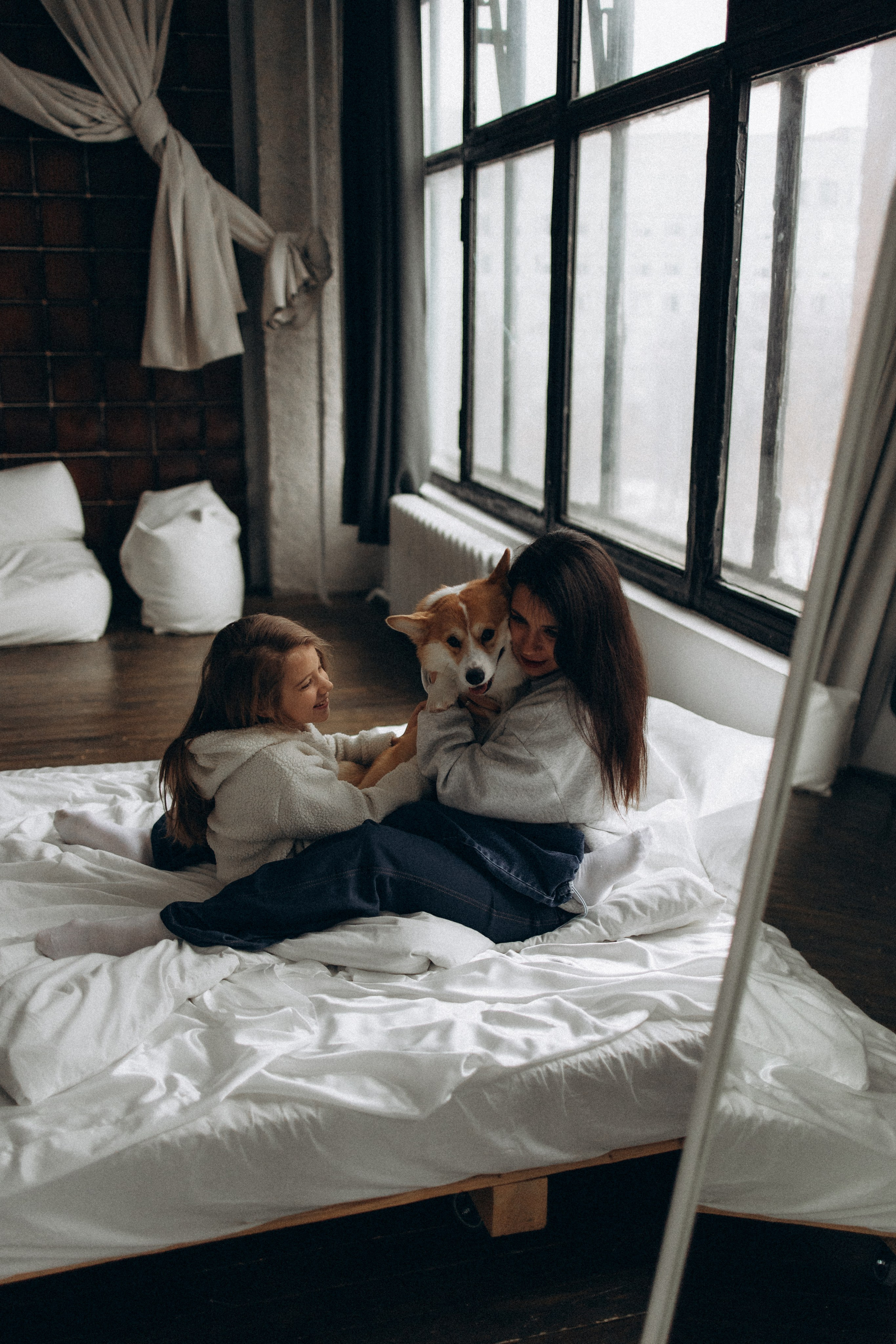 Зевс и его семья. Фотораф — анималист Мария Шистка