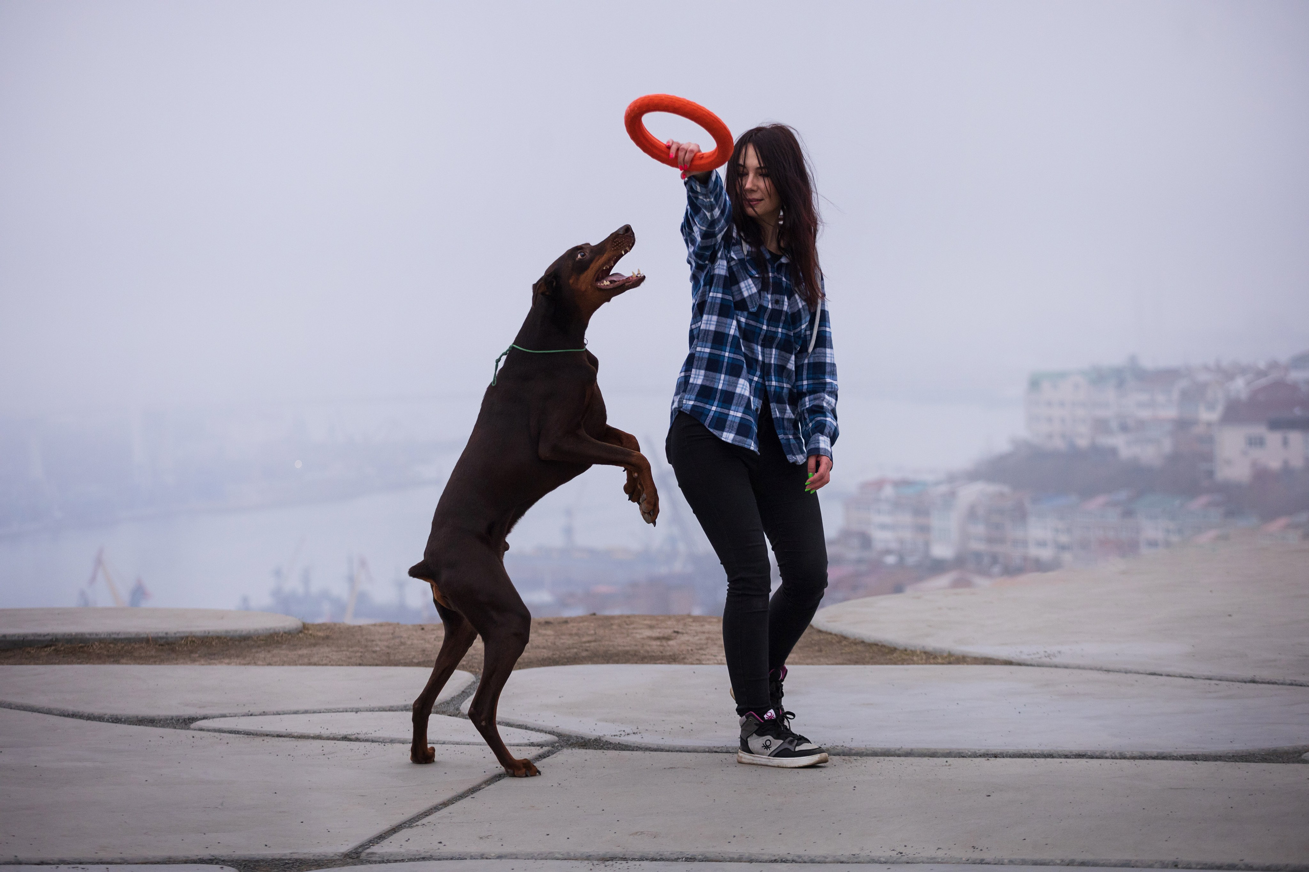 Оля и Кайрат. Фотограф — анималист Владивосток, Алина