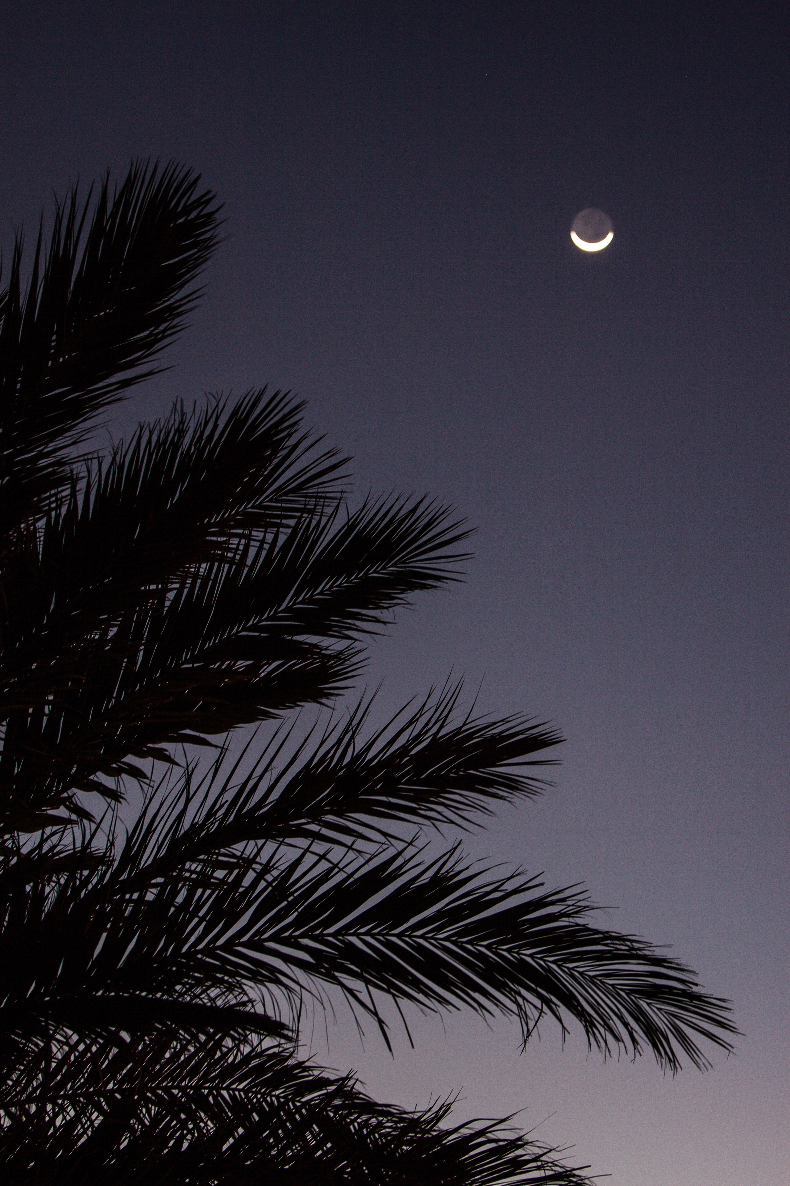 DAHABibi. Дария Галямова — фотограф: открытый, творческий, коммерческий