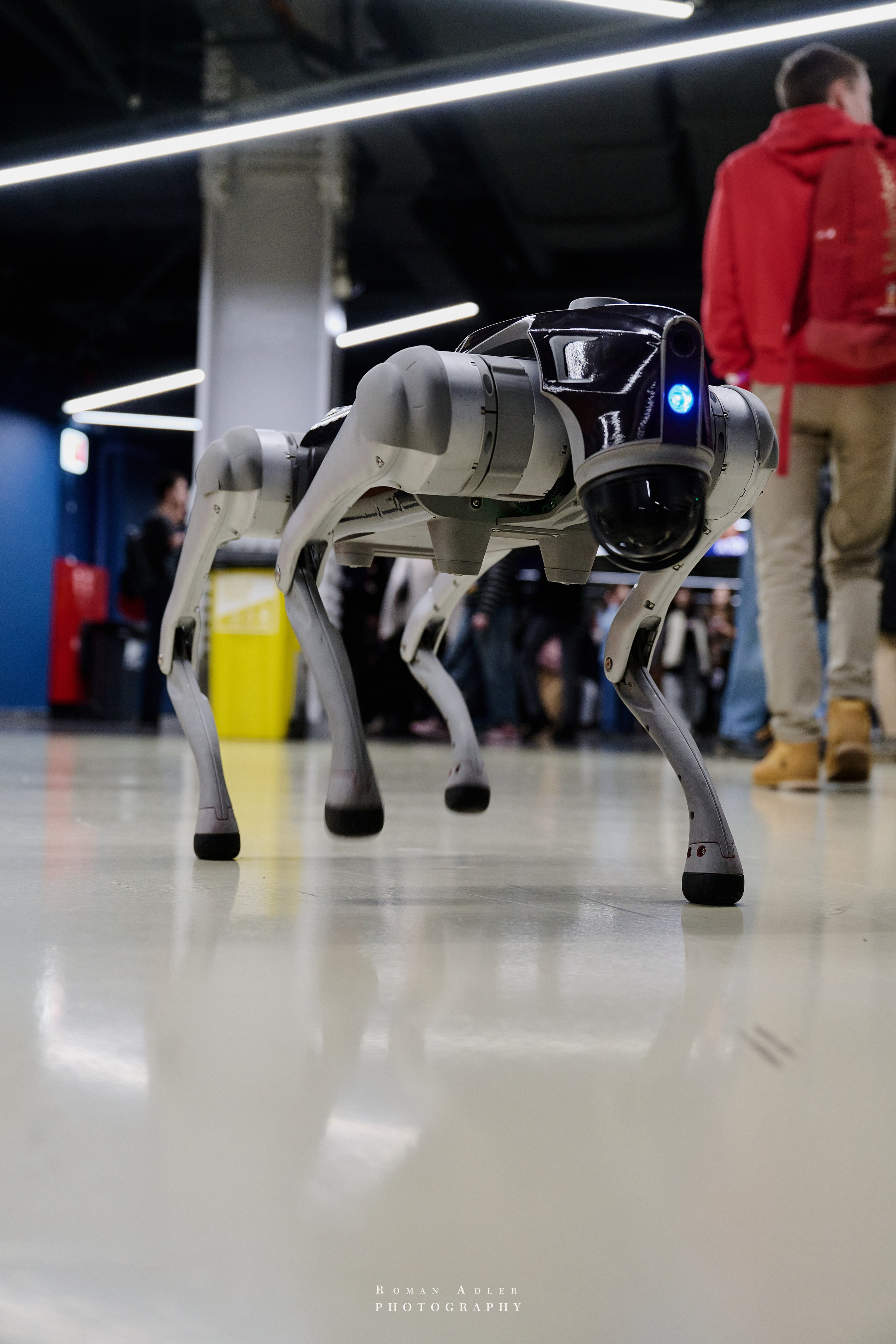 Студфест 2025 Москва. ВТБ Арена. 24 января 2025 года. Фотограф Роман Адлер