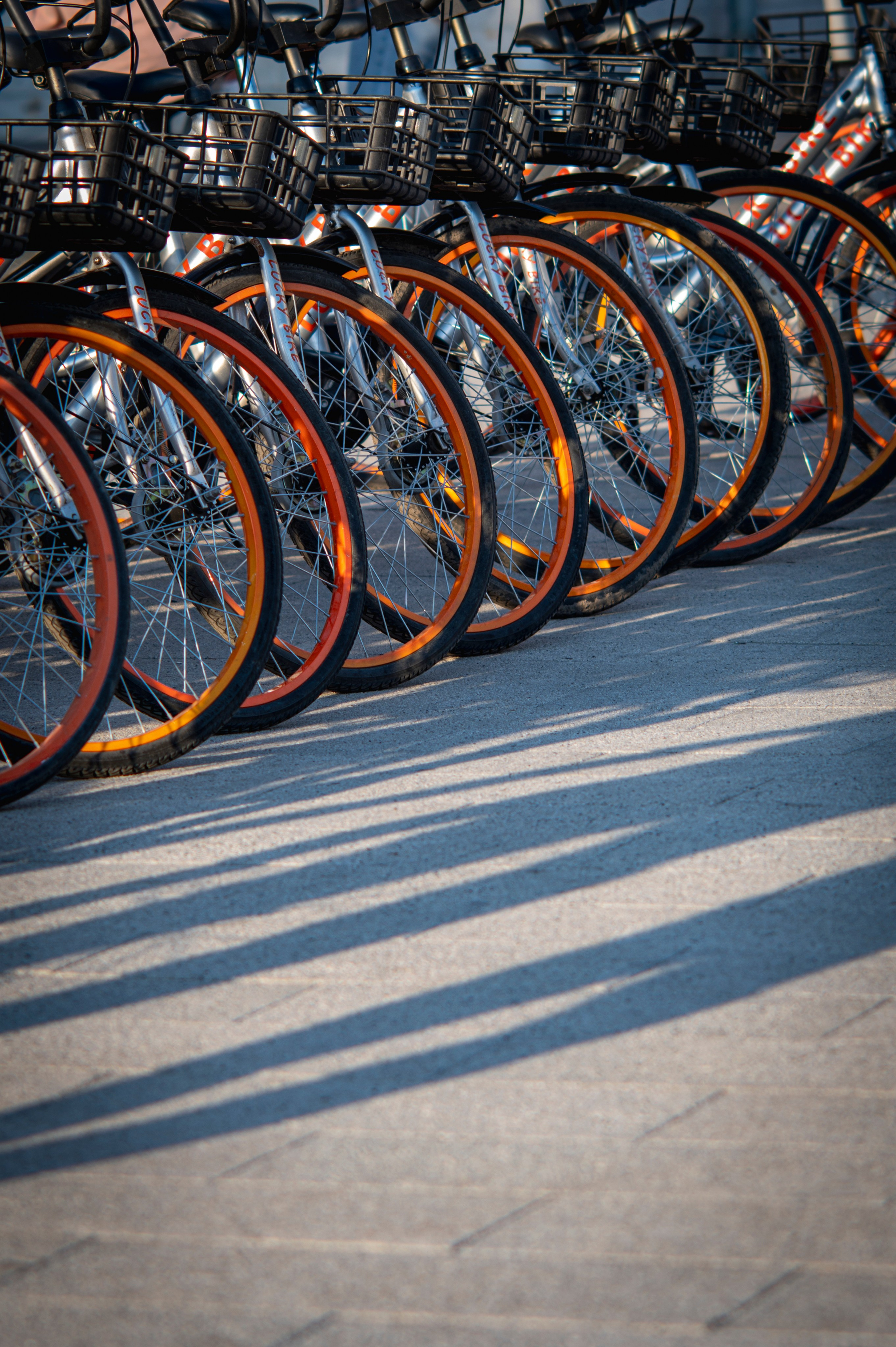 Рязань. Май 2022. Фотограф Роман Адлер