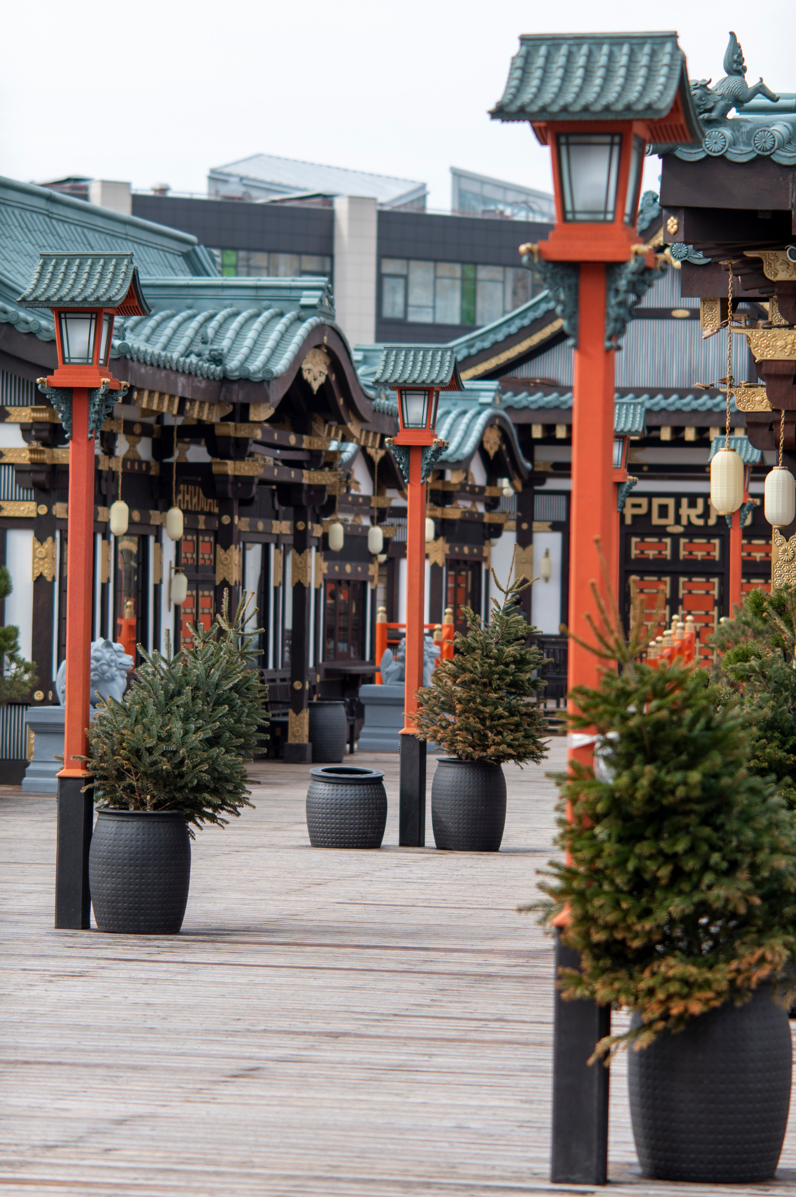 Фотопрогулка апрель 2022. Фотограф Роман Адлер