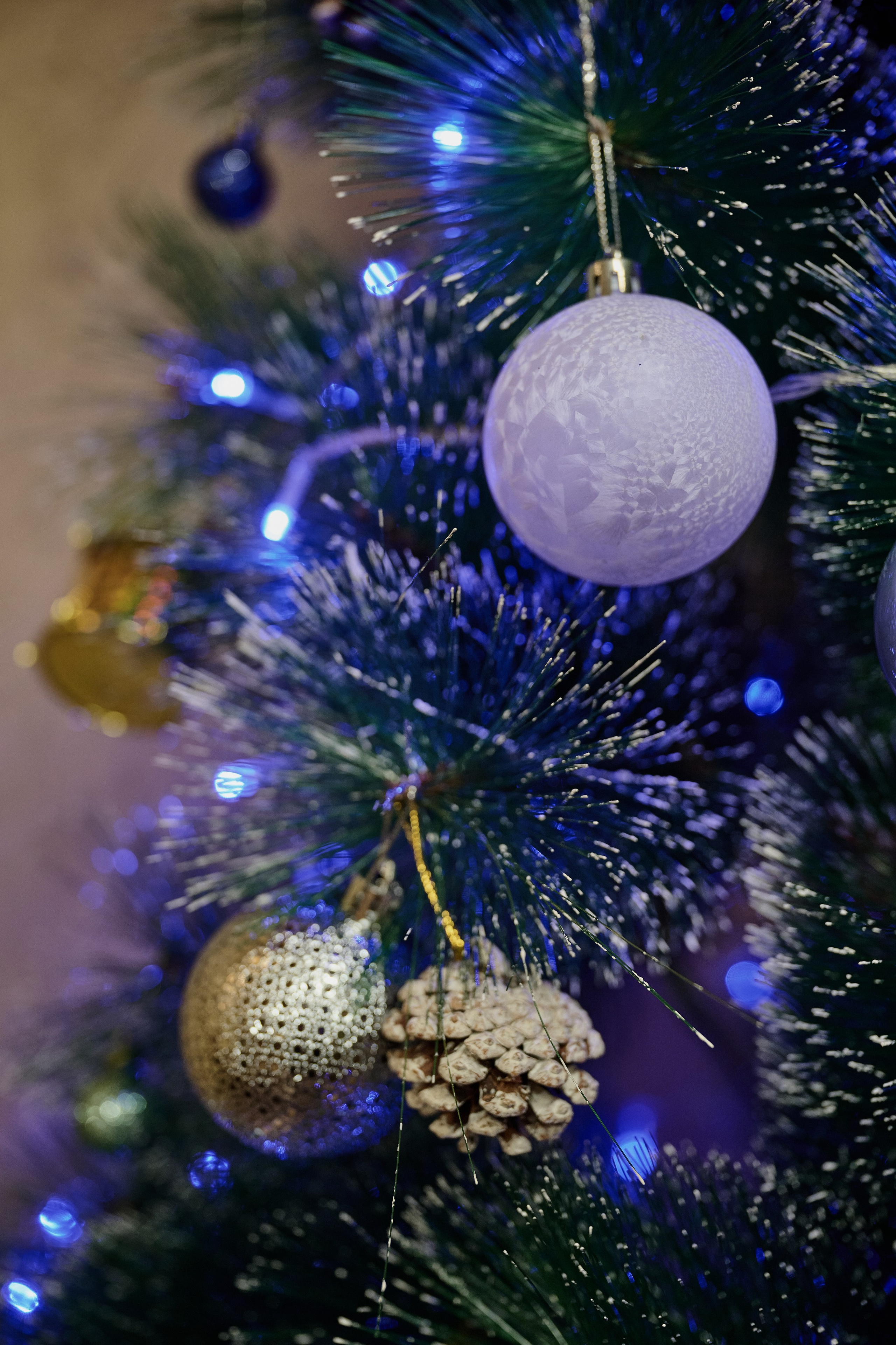 Поздравляем Товарищей с Новым Годом!. Фотограф Роман Адлер