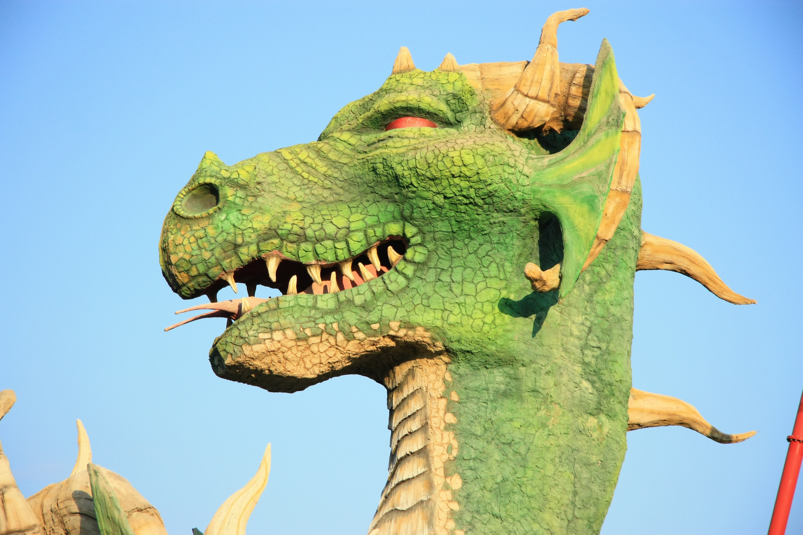 Первые кадры. Сочи — парк. Фотограф Роман Адлер