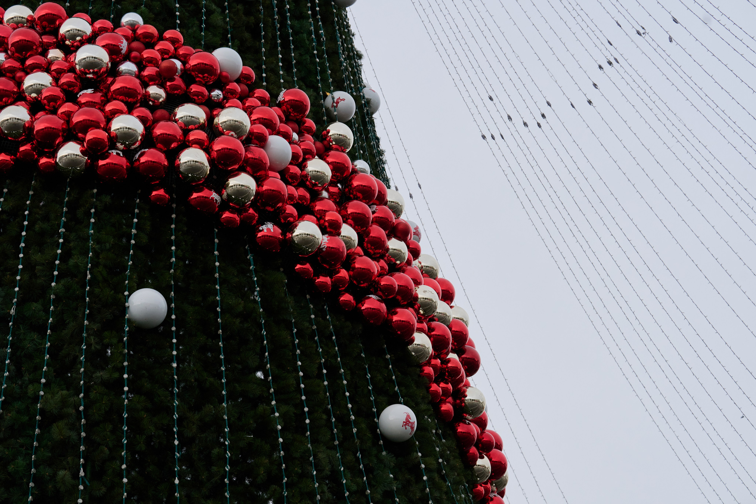 Луганск. Январь 2026. Фотограф Роман Адлер