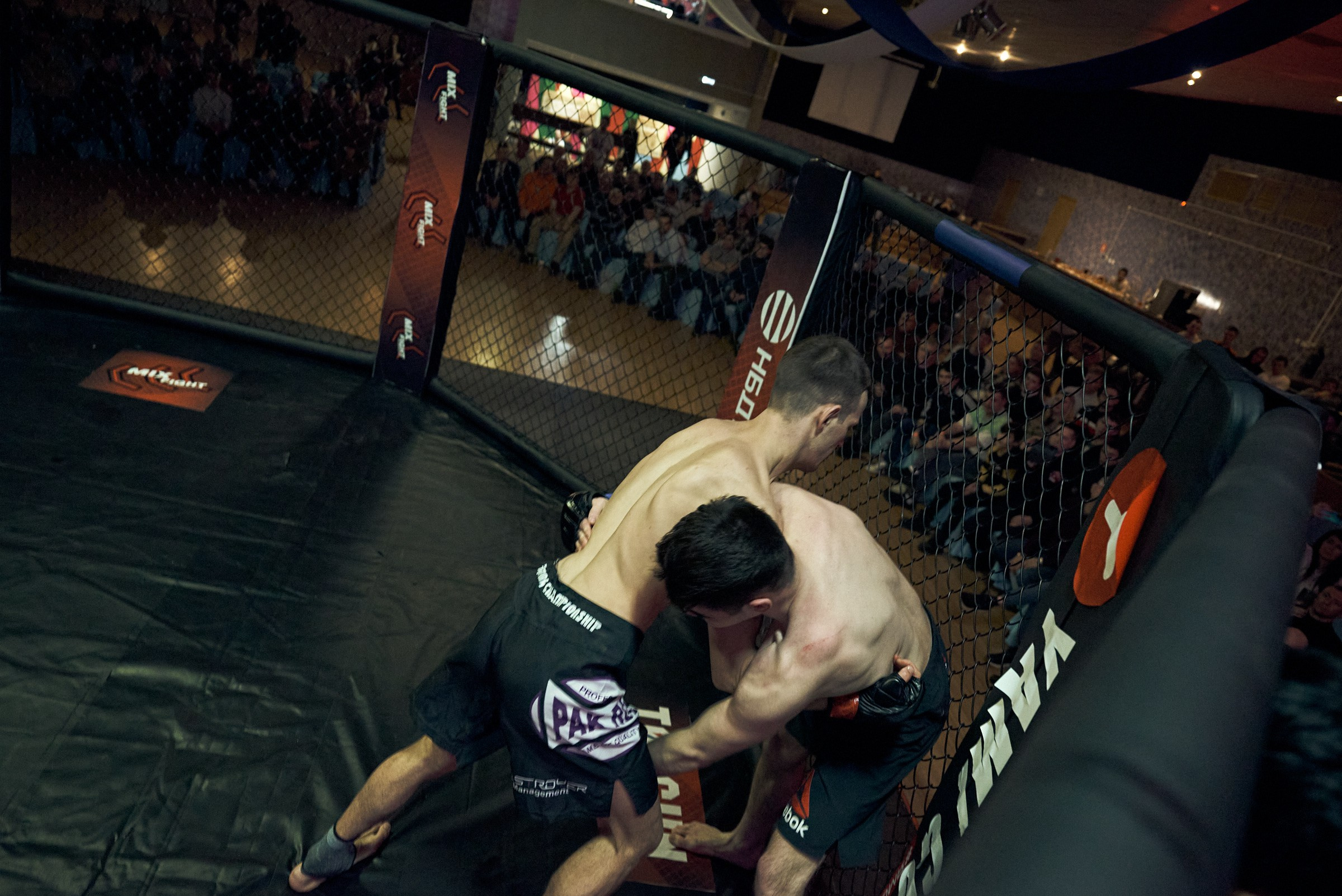 Бои. Маляревич Дмитрий свадебный фотограф