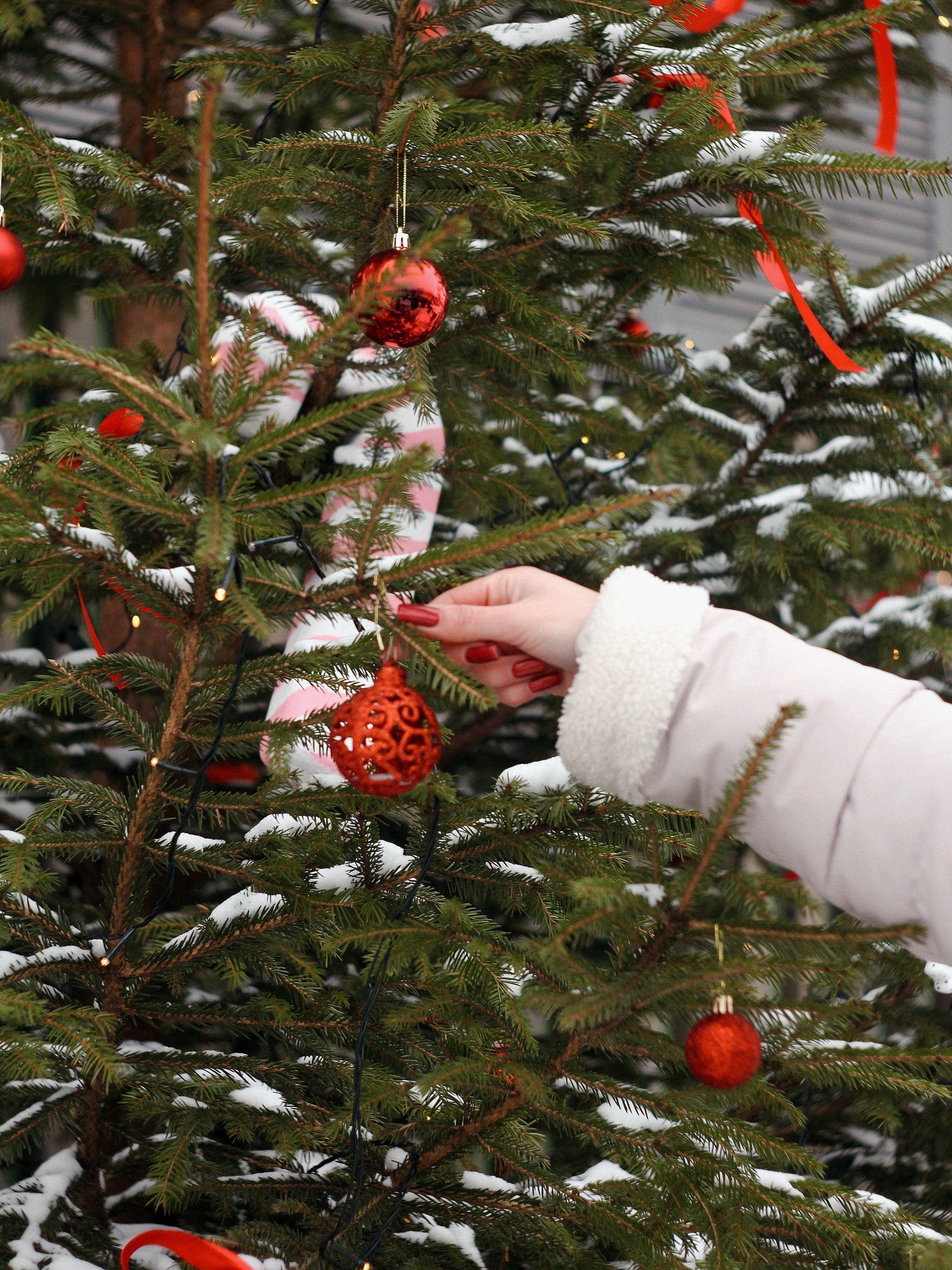 Надежда и София. Photography Eva